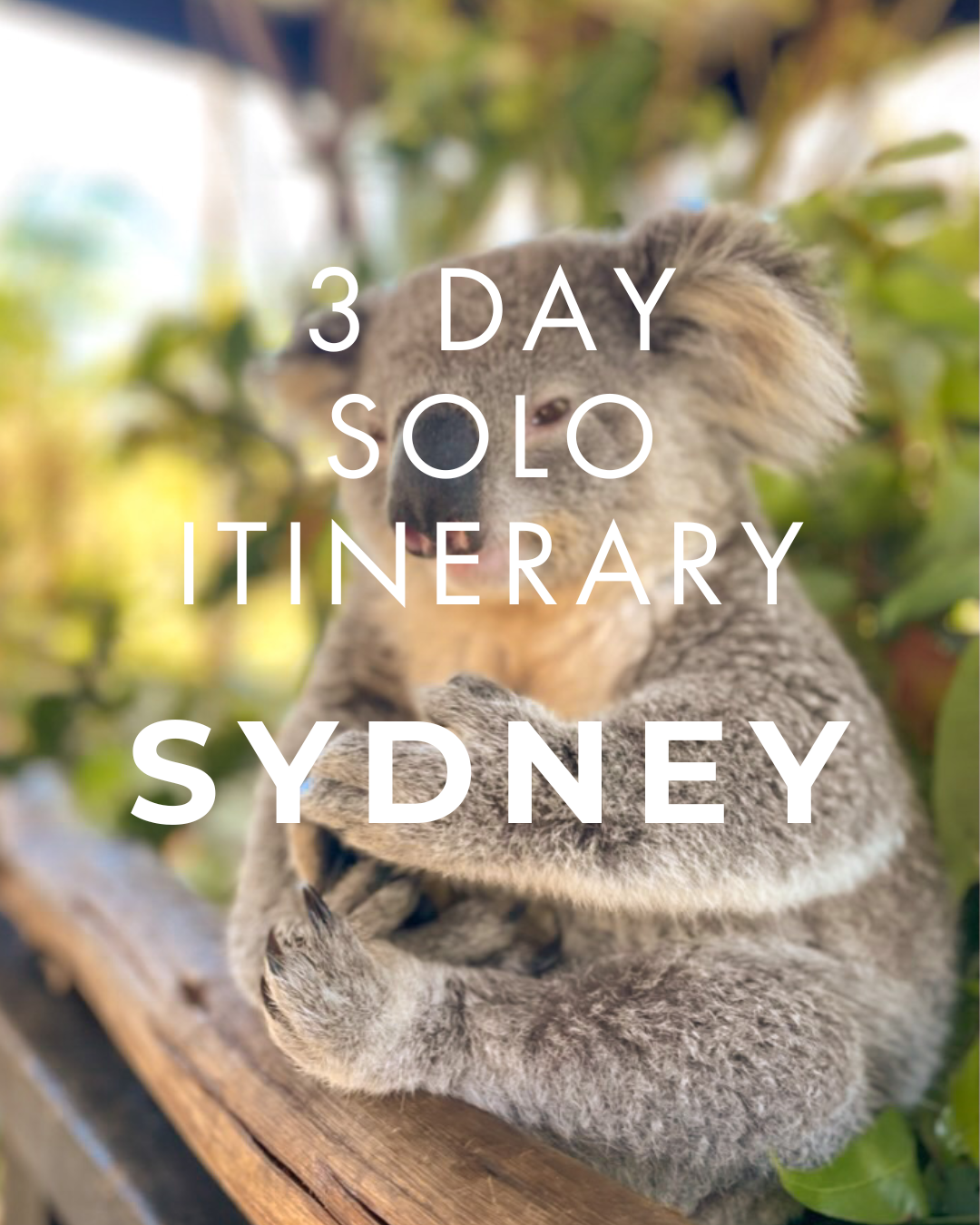 3 days in Sydney .png