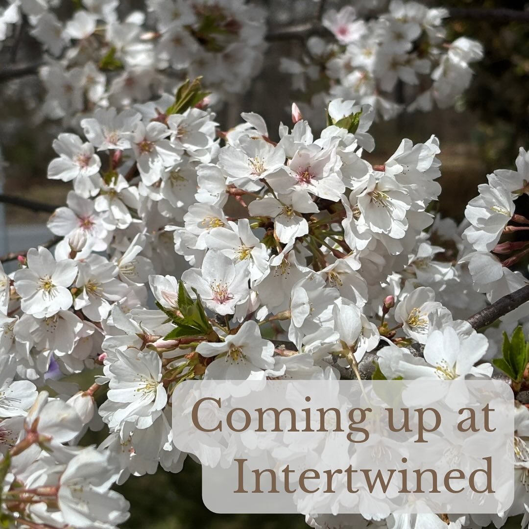 Here’s what’s coming up at Intertwined:
Sunday
5:00pm - Peace Out(doors) (City Island, Harrisburg)
Monday
10:00am - Coffee at @elementarycoffeeco (256 North St, Harrisburg)
Wednesday
10:00am - Coffee at @littleampscoffee (1836 Green St