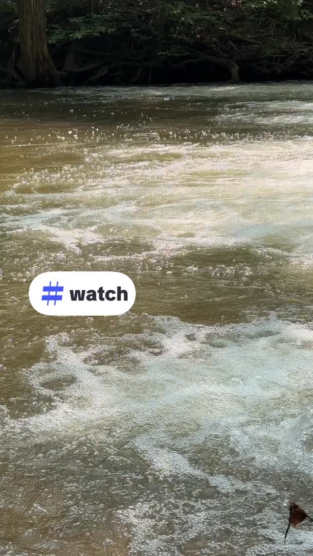 Allow yourself a moment...
#sabbath #breathe #dailybreath
#WeAreAllIntertwined #Psalm104 #CreationCare #environmentaljustice #SpiritualEcology #EarthWisdom #SeventhGeneration #WhoLivesDownstream #ecopastor #1001nwc