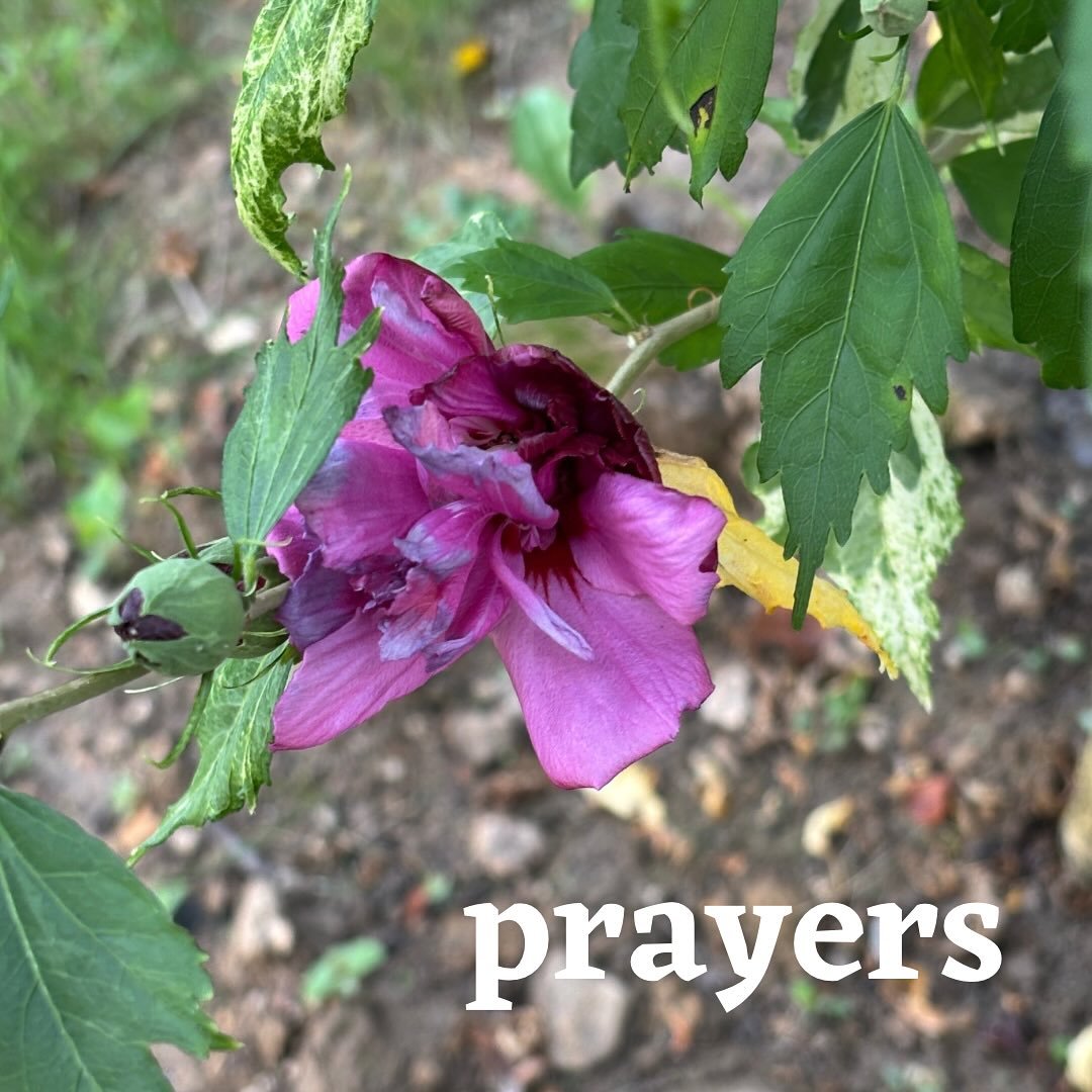 This week, we lift the following in prayer.

Tim - recovery from surgery
Judy - assisted living transition
Nancy - recovery
Alicia - support in her grief
Jeff - continued healing
Dennis - mental health
John&rsquo;s father - transition to new living s