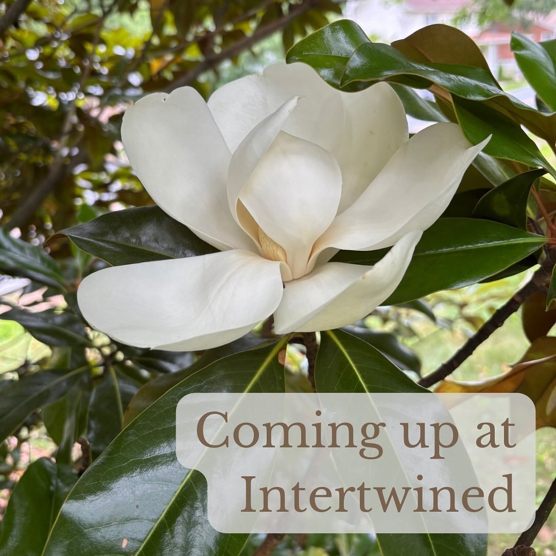 Here&rsquo;s what&rsquo;s coming up at Intertwined:

Sunday
5:00pm - Peace Out(doors) - City Island (trees near carousel)

Monday
10:00am - Coffee at @elementarycoffeeco (256 North St, Harrisburg)

Wednesday
10:00am - Coffee at @littleampscoffee (183