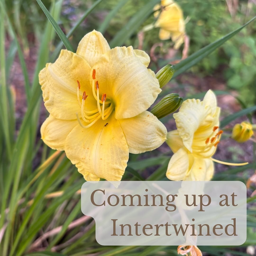 Here’s what’s coming up at Intertwined:
Sunday
8:00am - New reflection available on Medium, podcast, and YouTube
5:00pm - Peace Out(doors) - Five Senses Garden (1350 N Harrisburg St, Harrisburg)
Monday
10:00am - Coffee at @elementarycof