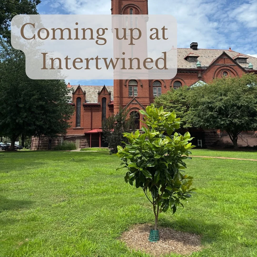 Here’s what’s coming up at Intertwined:
Sunday
5:00pm - Peace Out(doors) - City Island (trees near carousel)
Monday
10:00am - Coffee at @elementarycoffeeco (256 North St, Harrisburg)
Wednesday
10:00am - Coffee at @littleampscoffee (183