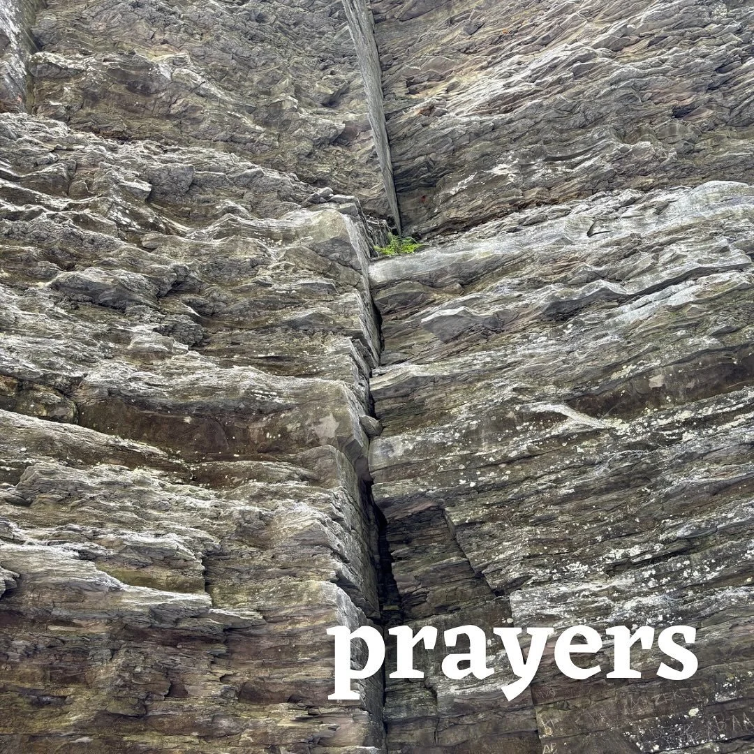 This week, we lift the following in prayer.
Dickie - brain tumor
Valerie - healing for her eye
Linda - kidney cancer
Ray - biopsy Aug 1
Delany - leukemia
Joee - settling in with Ashley’s family
Meichi - fighting cancer
Jeff - continued healing