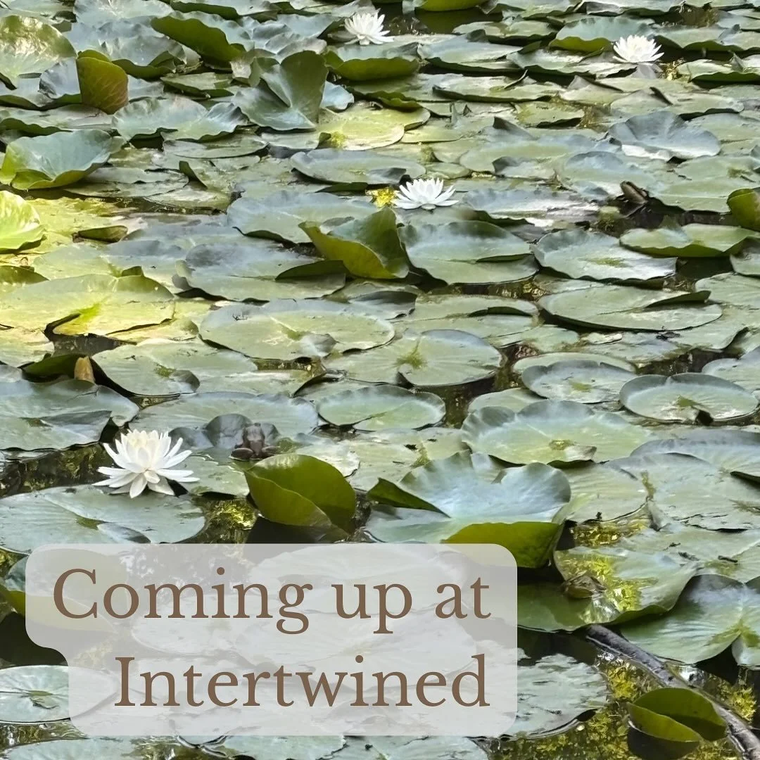 Here’s what’s coming up at Intertwined:
Sunday
5:00pm - Peace Out(doors) - City Island (trees near carousel)
Wednesday
6:00pm - Sojourning through Scripture at @zerodaybrewing (925 N. 3rd St, Harrisburg)
Friday
10:00am - Coffee at @the