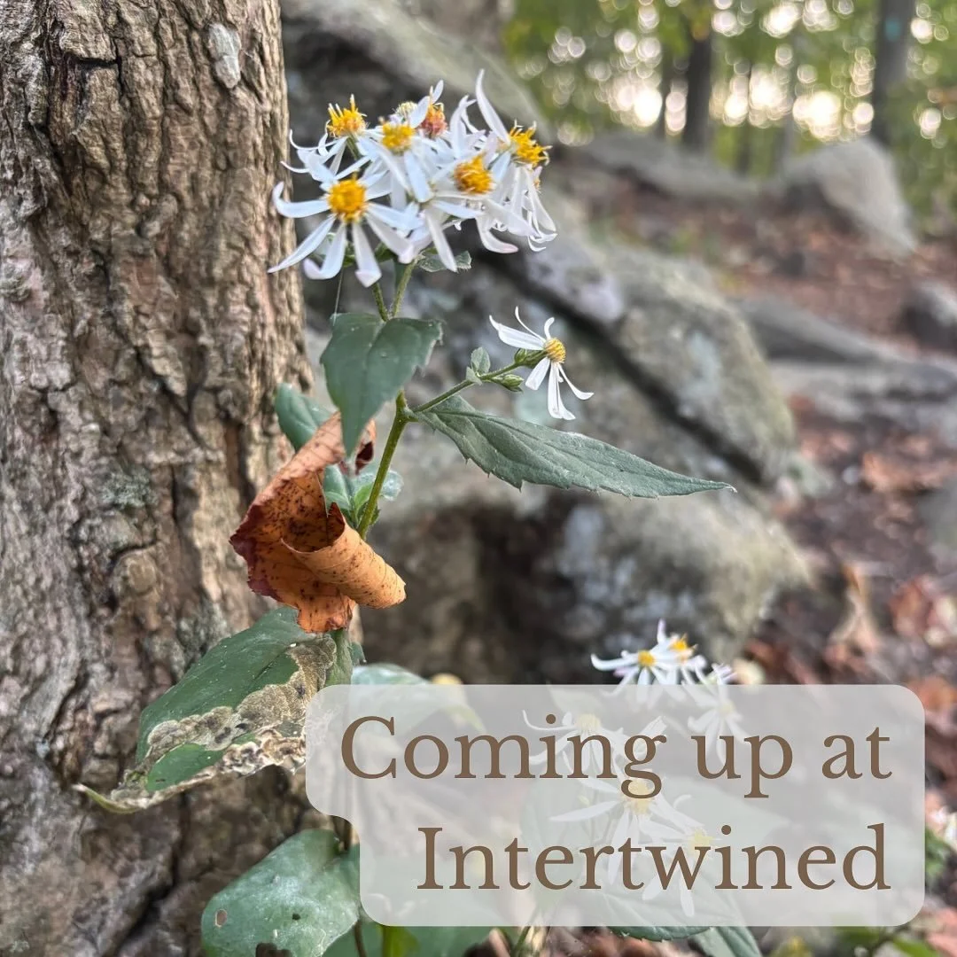 Here’s what’s coming up at Intertwined:
Sunday
8:00am - New reflection available on Medium, podcast, and YouTube
5:00pm - No Peace Out(doors)
Wednesday
10:00am - Coffee at @littleampscoffee (1836 Green St, Harrisburg)
Thursday
6:00pm -