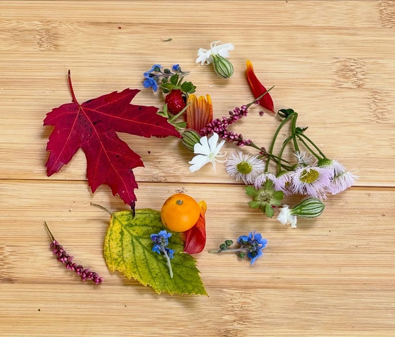 Thank you to those folks who joined us for yesterday&rsquo;s Peace Out(doors). It was good to be with you all. We&rsquo;ll be back on City Island next Sunday at 5 - please join us!

#Harrisburg #harrisburgpa #mechanicsburgpa #enola #duncannon #marysv