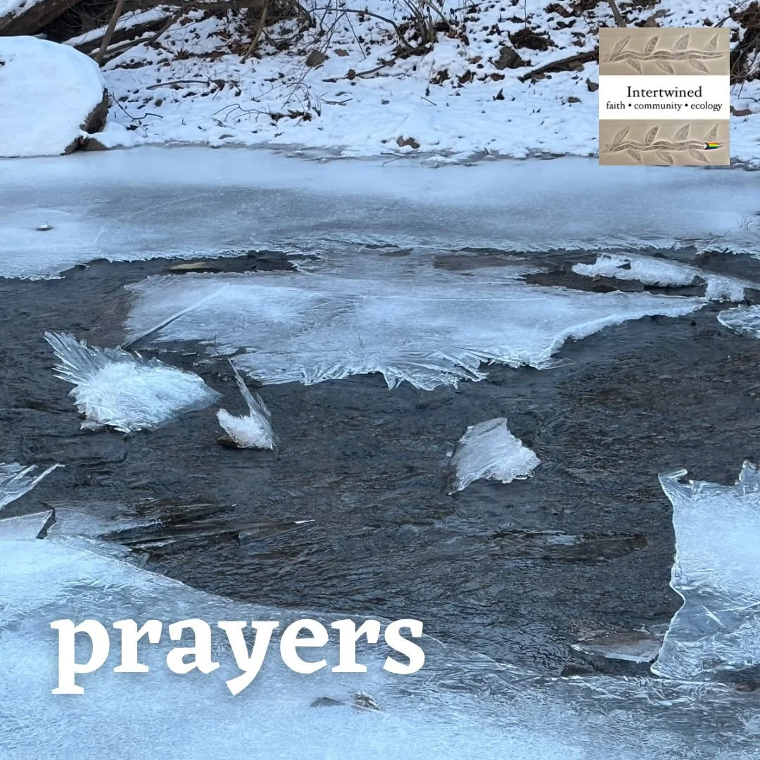 This week, we lift the following in prayer.

Evangelina R - hospitalized
Ray M (Ray D&rsquo;s friend) - Recovery from major back surgery
David (Ashley&rsquo;s dad) - recovery from surgery
Brian (Avery&rsquo;s friend)
Midas and a new faith community f