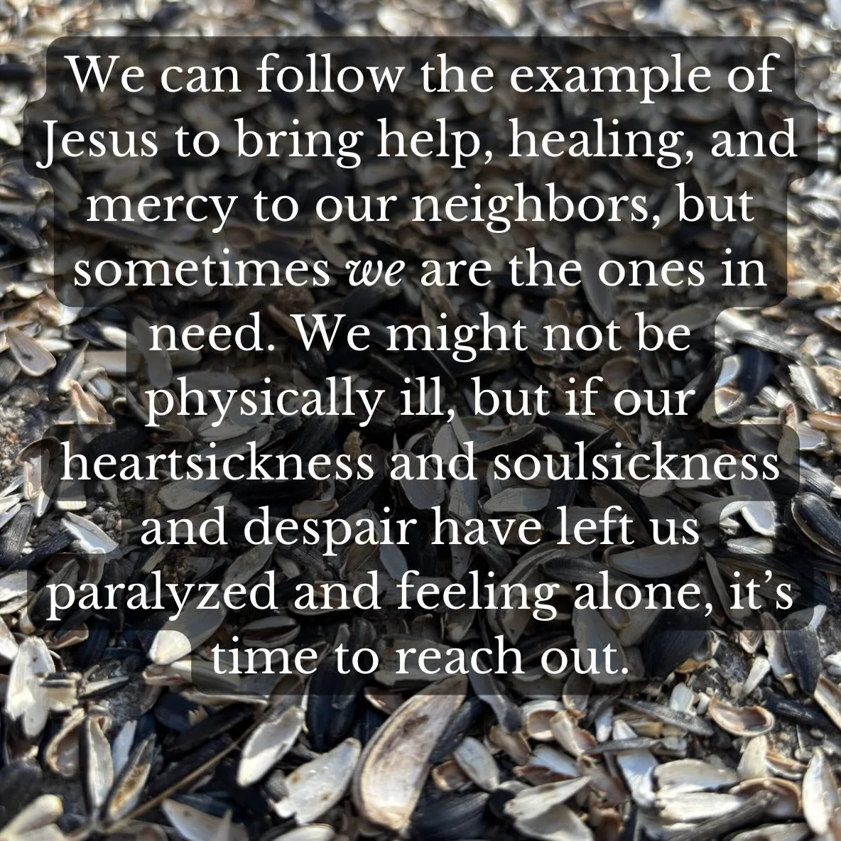 Who did Jesus heal? How do we decide who to help? When do we need to reach out?

&ldquo;Save the whales or save the seeds?&rdquo; is based on Matthew 8:1-17

See link in bio to watch, listen, or read

#WeAreAllIntertwined #jesusfollowers #ecotheology