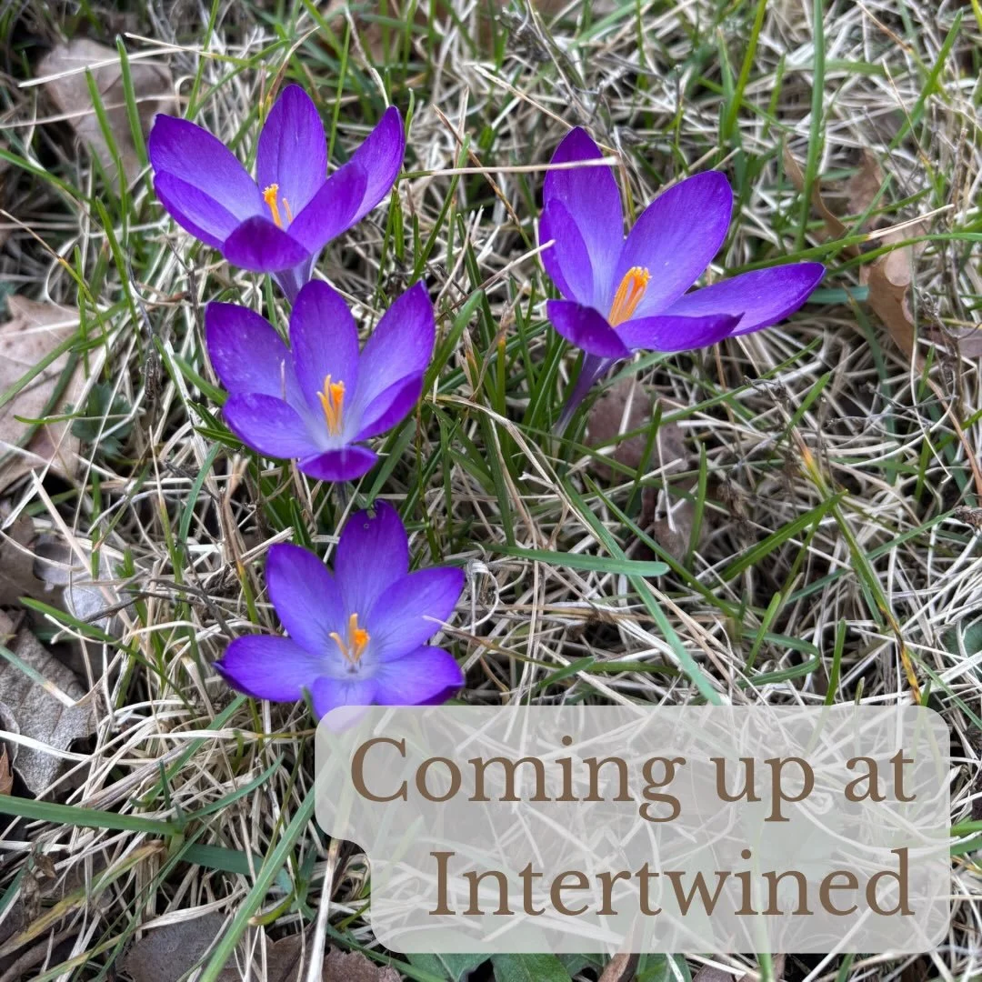 Here&rsquo;s what&rsquo;s coming up at Intertwined:

Sunday
5:00pm -&nbsp;Indoortwined&nbsp;(The Studio @ Summerdale Plaza, Enola)

Monday
10:00am -&nbsp;Coffee&nbsp;at @elementarycoffeeco (256 North St, Harrisburg)

Wednesday
10:00am -&nbsp;Coffee&n