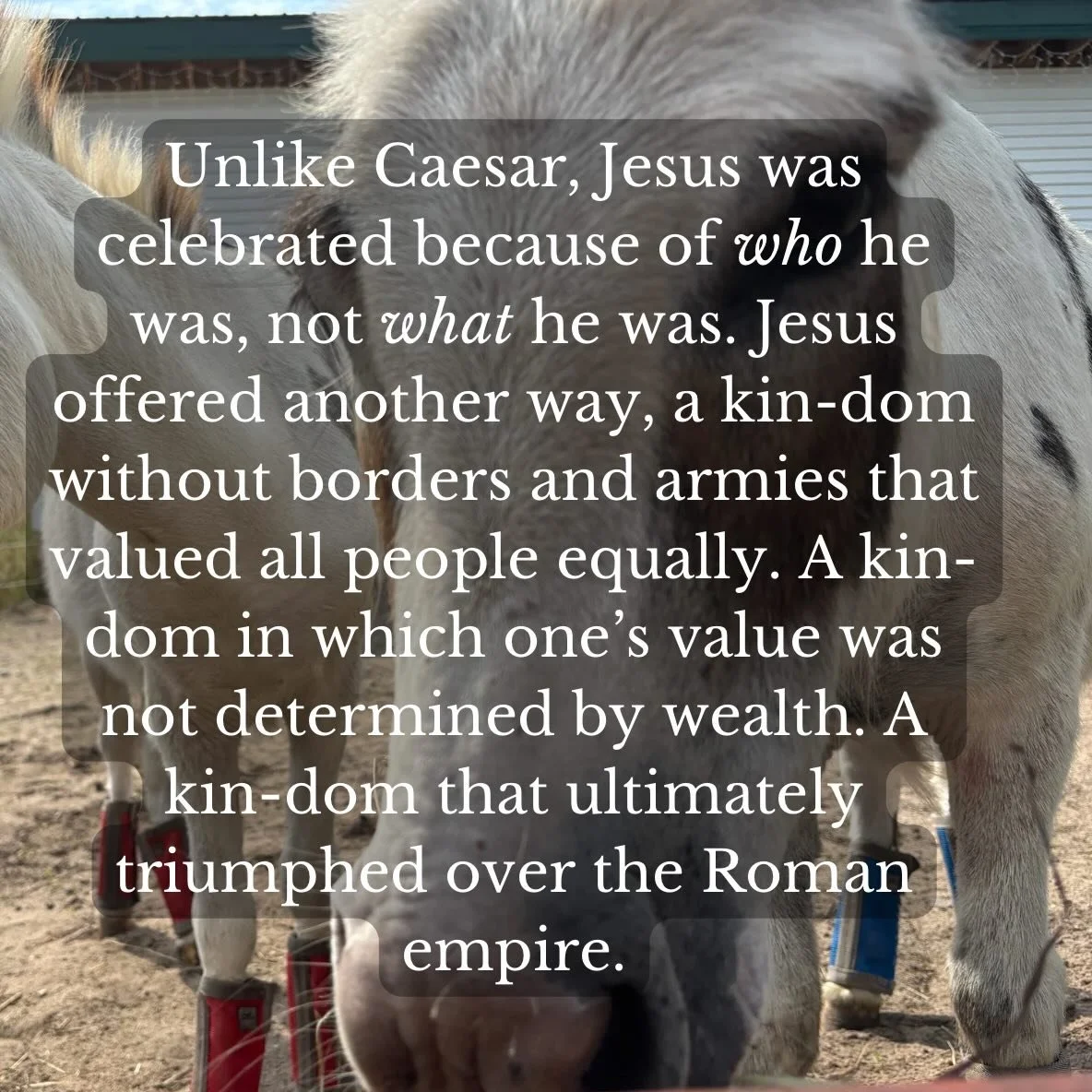 In which Bible story does an animal talk? How do you maintain your principles in the face of powerful influence? When should a people be cursed?

&ldquo;How do you decide who to curse?&rdquo; is based on Numbers 23:1-12

See link in bio to watch, lis