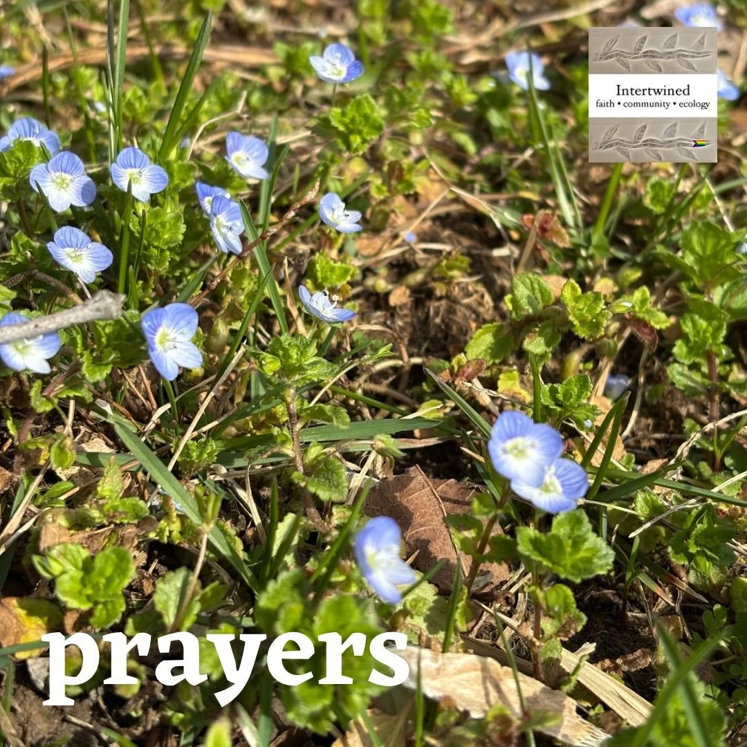 This week, we lift the following in prayer.

Family and friends of Dan Graham
The people of Cuba
Vickie&rsquo;s family and friends (Valerie&rsquo;s sister-in-law)
Chris (Ashley&rsquo;s friend&rsquo;s mother) - in hospital
Ruth (Bruce&rsquo;s prayer p