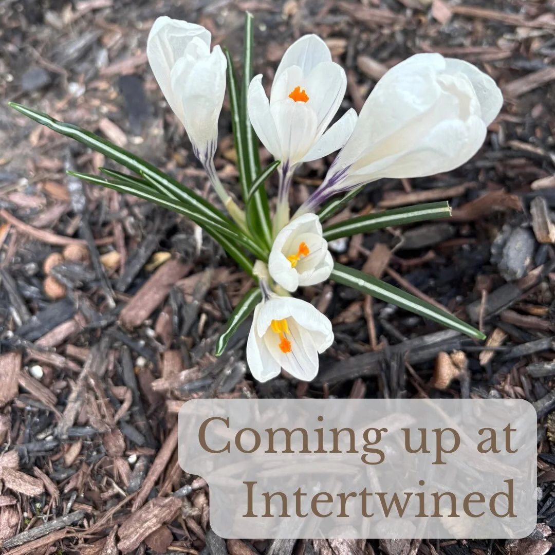 Here&rsquo;s what&rsquo;s coming up at Intertwined.

Wednesday
10:00am - Coffee at @littleampscoffee (1836 Green St, Harrisburg)
6:00pm - Sojourning through Scripture at Sturges Speakeasy (400 Forster St, Harrisburg)

Friday
10:00am - Coffee at @thet