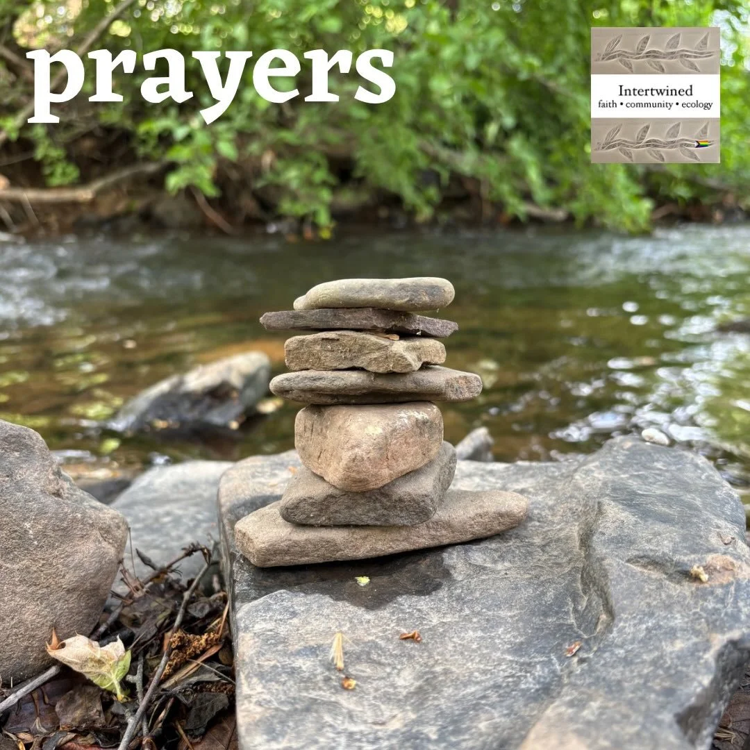 This week, we lift the following in prayer.

Friends and family of John&rsquo;s father
Margaret, whose father passed away
Neighbors facing eviction
Anne Copeland - health
Avery - last months of schooling
Monica and her relationship with sister-in-law