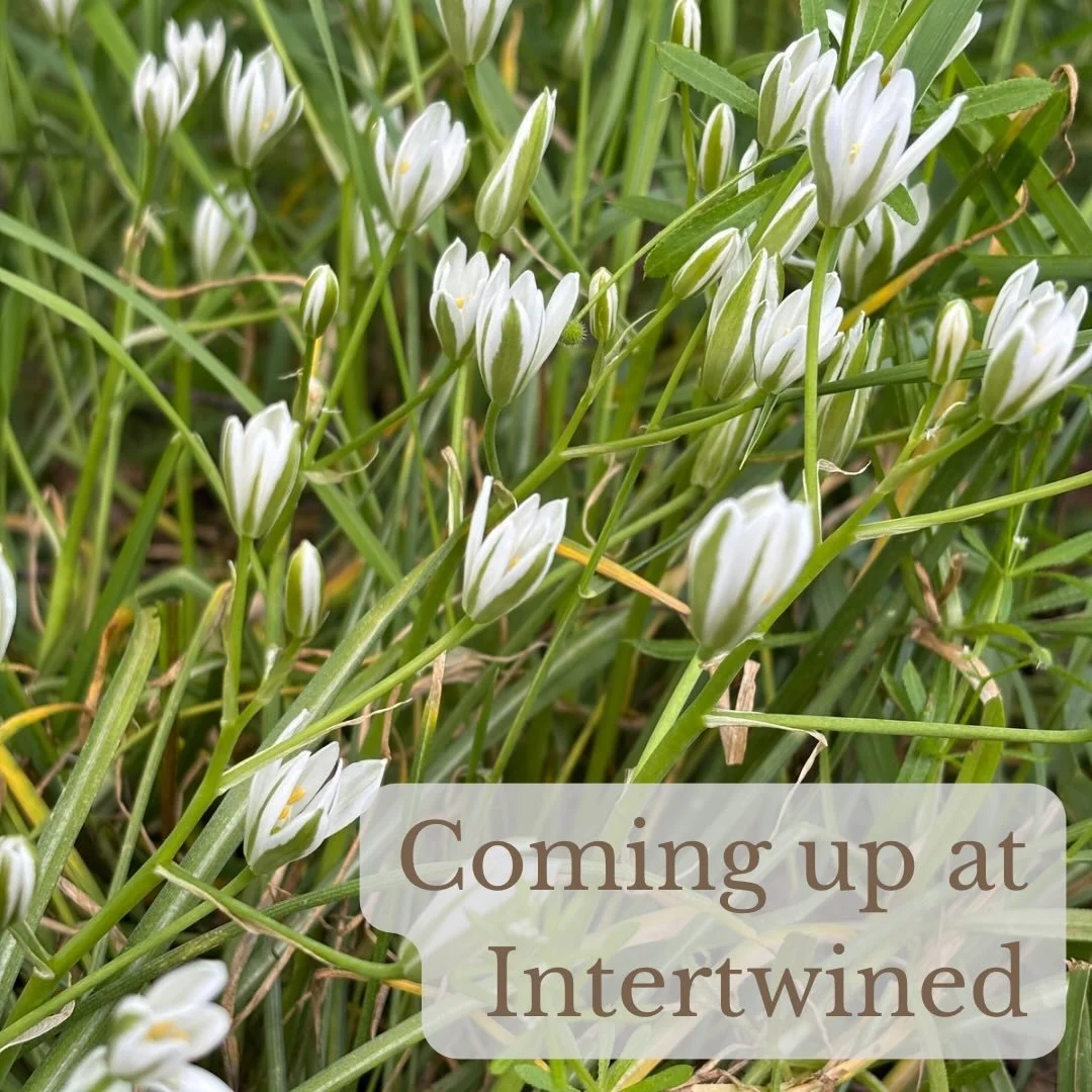 Here&rsquo;s what&rsquo;s coming up at Intertwined:

Sunday
5:00pm - Peace Out(doors) on City Island (grove of trees near carousel and train station)

Monday
10:00am - Coffee at @elementarycoffeeco (256 North St, Harrisburg)

Wednesday
10:00am - Coff