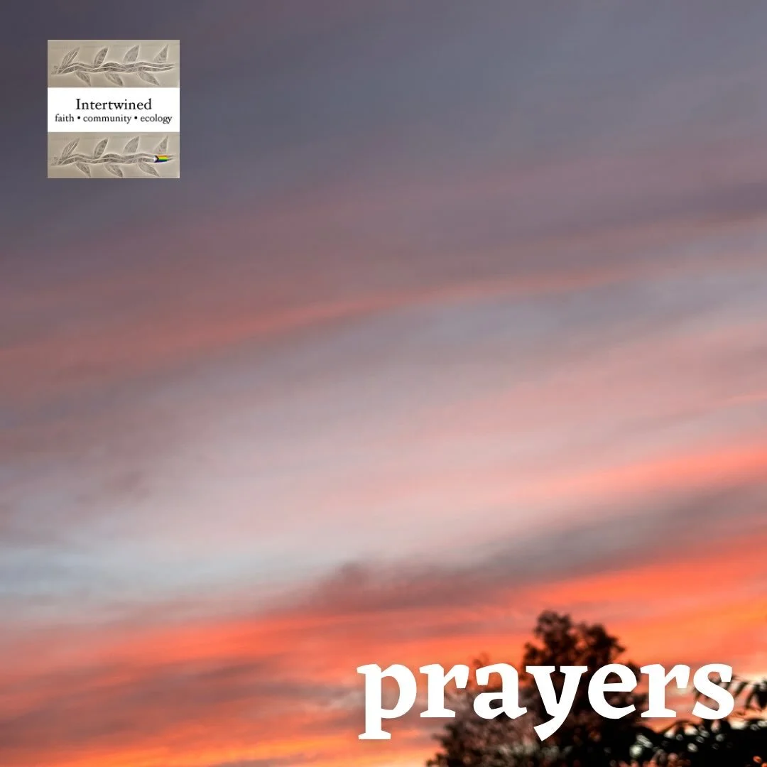 This week, we lift the following in prayer.

Shelly - friends and family
Lon - recovery from surgery
Dee (Monica&rsquo;s mom-in-law) - recovery from fall
Bri (Ashley&rsquo;s friend) - re-entry
Devon and Sam
Monica&rsquo;s family members who have heal