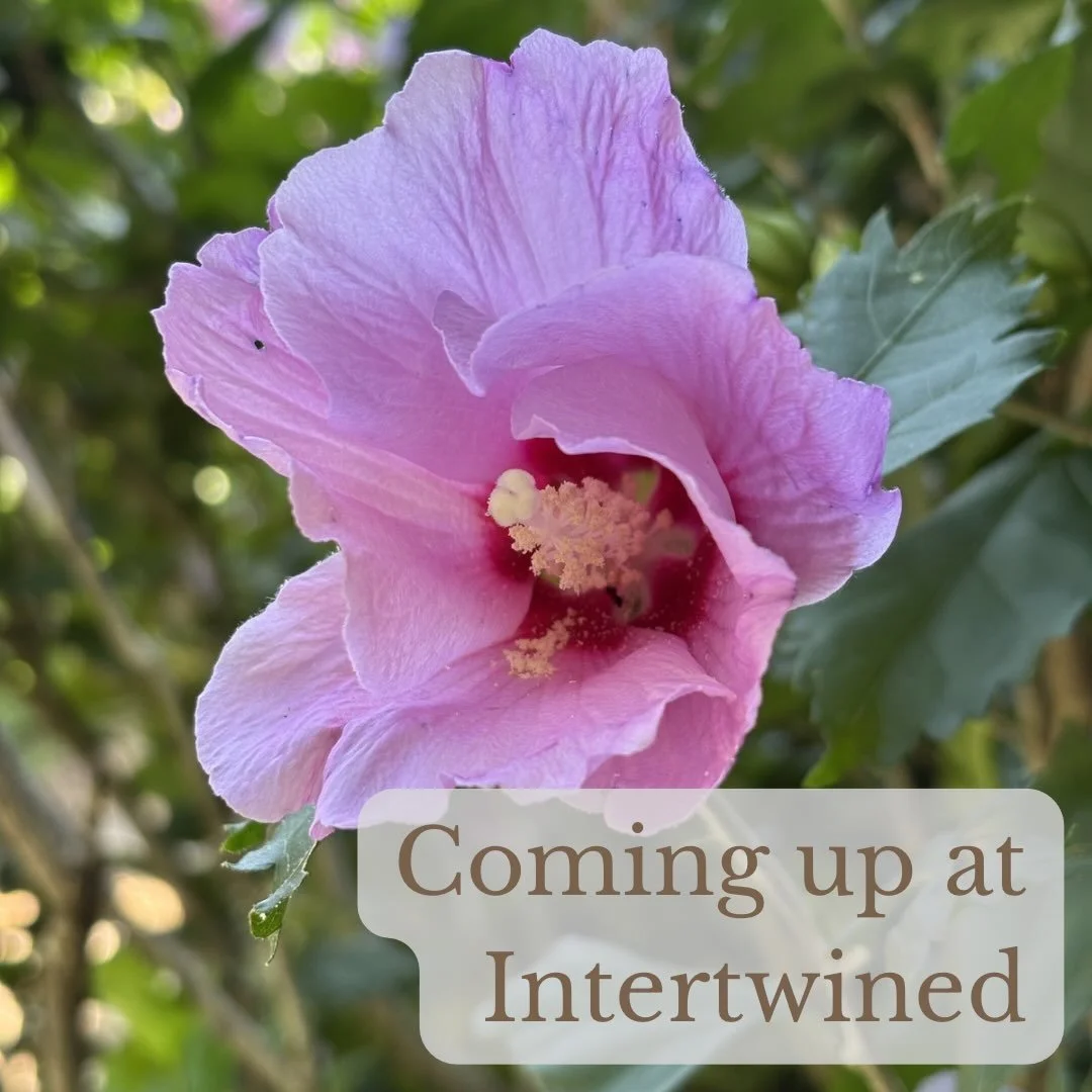 Here&rsquo;s what&rsquo;s coming up at Intertwined:

Sunday
No gathering due to holiday

Monday
10:00am -&nbsp;Coffee&nbsp;at @elementarycoffeeco (256 North St, Harrisburg)

Wednesday
6:00pm -&nbsp;Sojourning through Scripture&nbsp;at Sturges Speakea