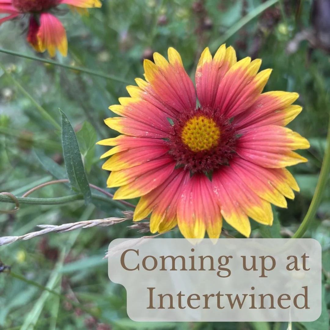 Here&rsquo;s what&rsquo;s coming up at Intertwined:

Sunday
5:00pm - Peace Out(doors) on City Island (grove of trees near carousel and train station)

Wednesday
6:00pm - Sojourning through Scripture at Sturges Speakeasy (400 Forster St, Harrisburg)

