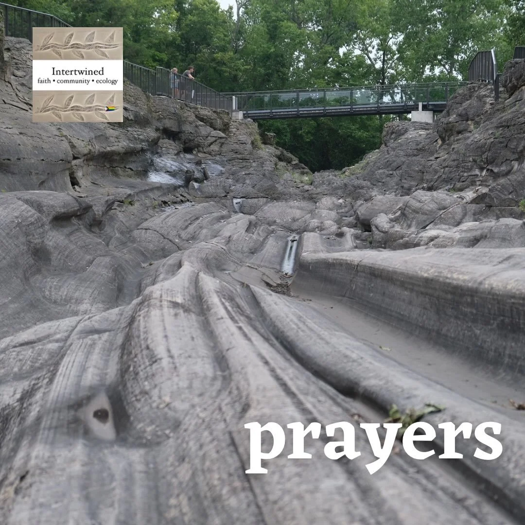 This week, we lift the following in prayer.

Valerie - blood pressure
Russ S (Grete&rsquo;s uncle) - major heart surgery
Becky E - peace
Elsie - recovery from surgery
Friends and family of pedestrian killed on Front Street
Brian (Avery&rsquo;s friend