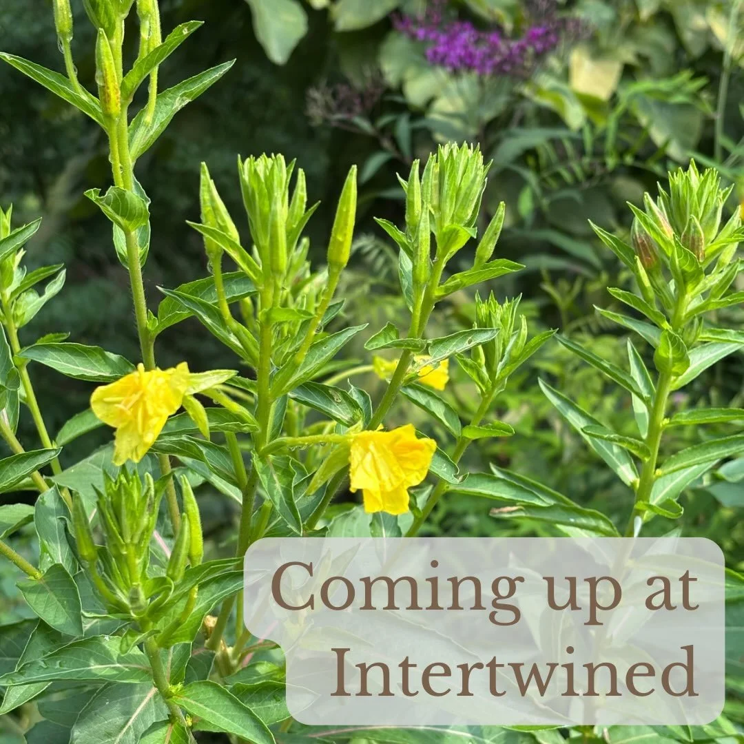 Here&rsquo;s what&rsquo;s coming up at Intertwined:

Sunday
5:00pm -&nbsp;Walk at Wildwood Park (Olewine Nature Center, 100 Wildwood Way, Harrisburg)

Monday
10:00am - Coffee at @elementarycoffeeco (256 North St, Harrisburg)

Friday
10:00am - Coffee 