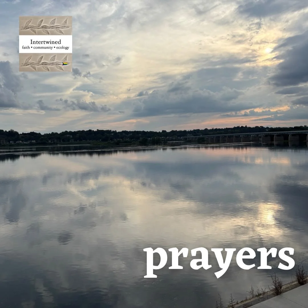 This week, we lift the following in prayer.

Nancy - recovery from heart operation
Valerie - blood pressure
Russ S (Grete&rsquo;s uncle) - major heart surgery
Elsie - recovery from surgery
L (Randall&rsquo;s friend) - financial distress
Claire (Avery
