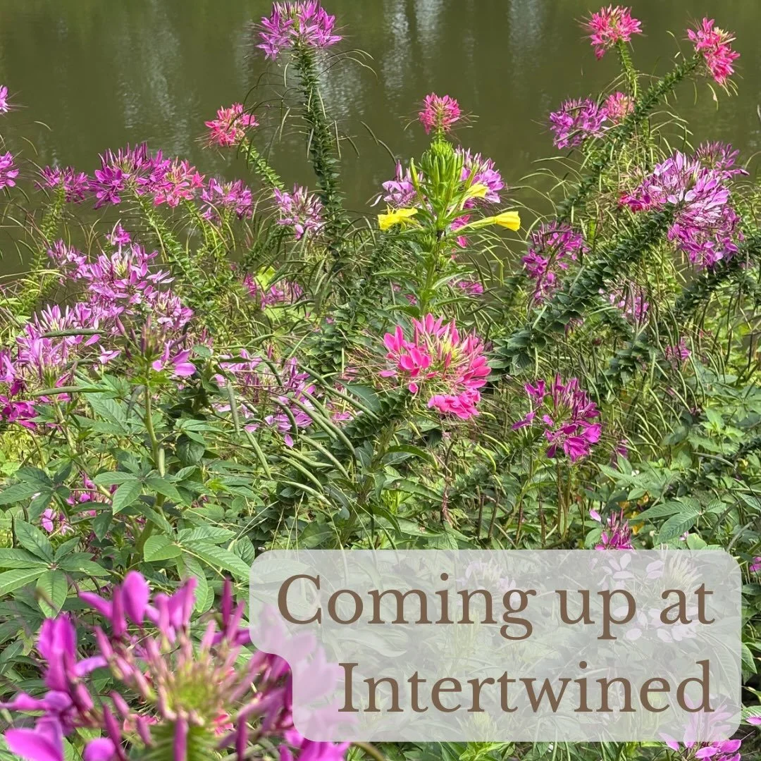 Here&rsquo;s what&rsquo;s coming up at Intertwined:

Sunday
5:00pm - Peace Out(doors) at Fort Hunter Park (115 Fort Hunter Road near covered bridge)

Monday
10:00am - Coffee at @elementarycoffeeco (256 North St, Harrisburg)

Wednesday
10:00am - Coffe