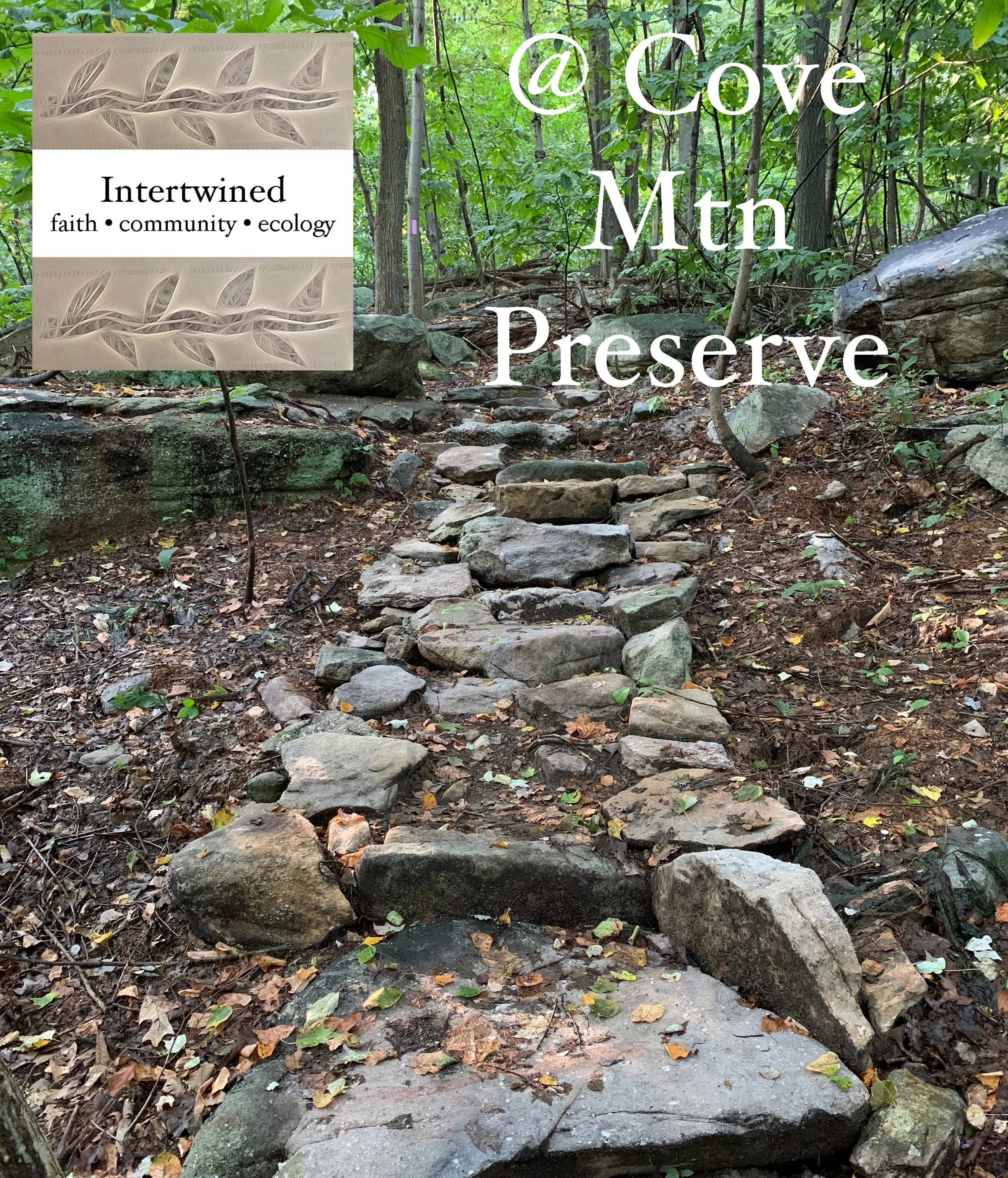 Join us at Cove Mountain Preserve for a hike!
We&rsquo;ll be leaving at 5pm, and stopping at an overlook to rest and reflect. 
We&rsquo;ll be meeting in the parking lot at the top of Sylvan Street near the trailhead. Look for the Intertwined sail sig