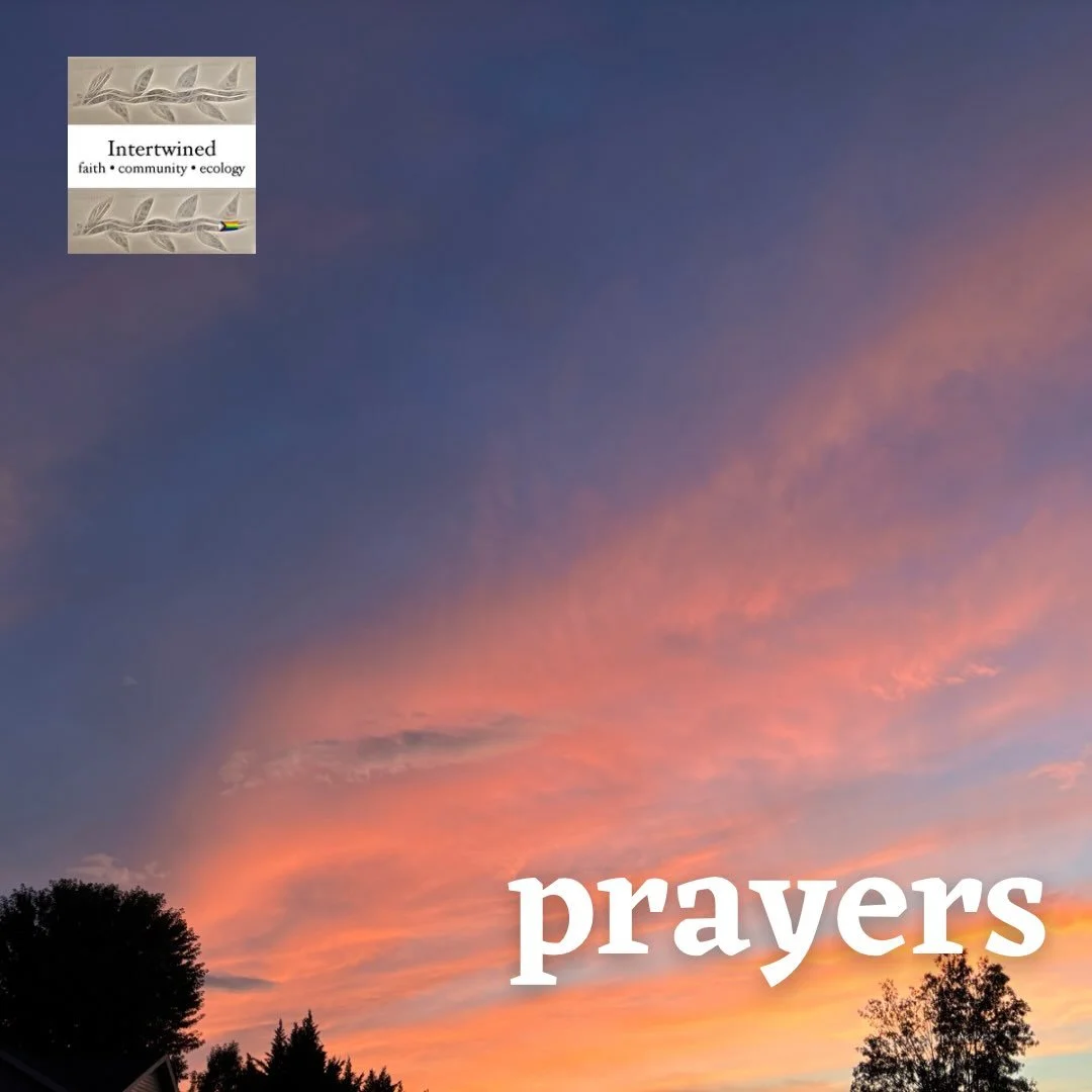 This week, we lift the following in prayer.

Family and friends of Jena
Valerie - housing situation
Ashley - mental health
Rich - Diabetes diagnosis
Monica&rsquo;s cat
Susan&rsquo;s mom - recovering well
Terry&rsquo;s son - gratitude for his new, goo