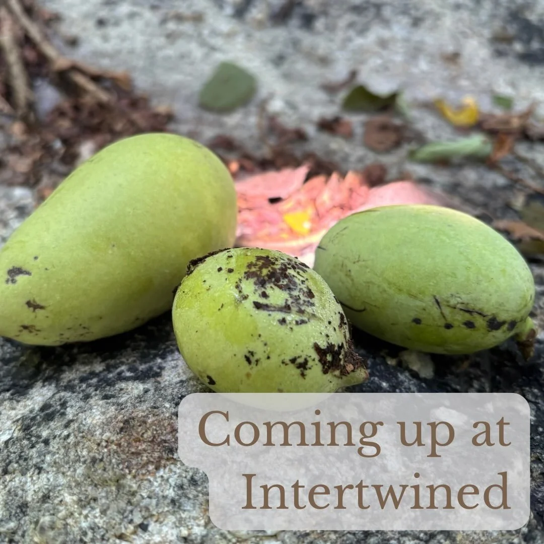 Here&rsquo;s what&rsquo;s coming up at Intertwined:

Sunday
10:15am - Kevin preaches at St. James Presbyterian Church (1425 Orrs Bridge Rd, Mechanicsburg)
5:00pm - Hike at Cove Mountain Preserve (450 Sylvan St, Marysville)

Wednesday
10:00am - Coffee