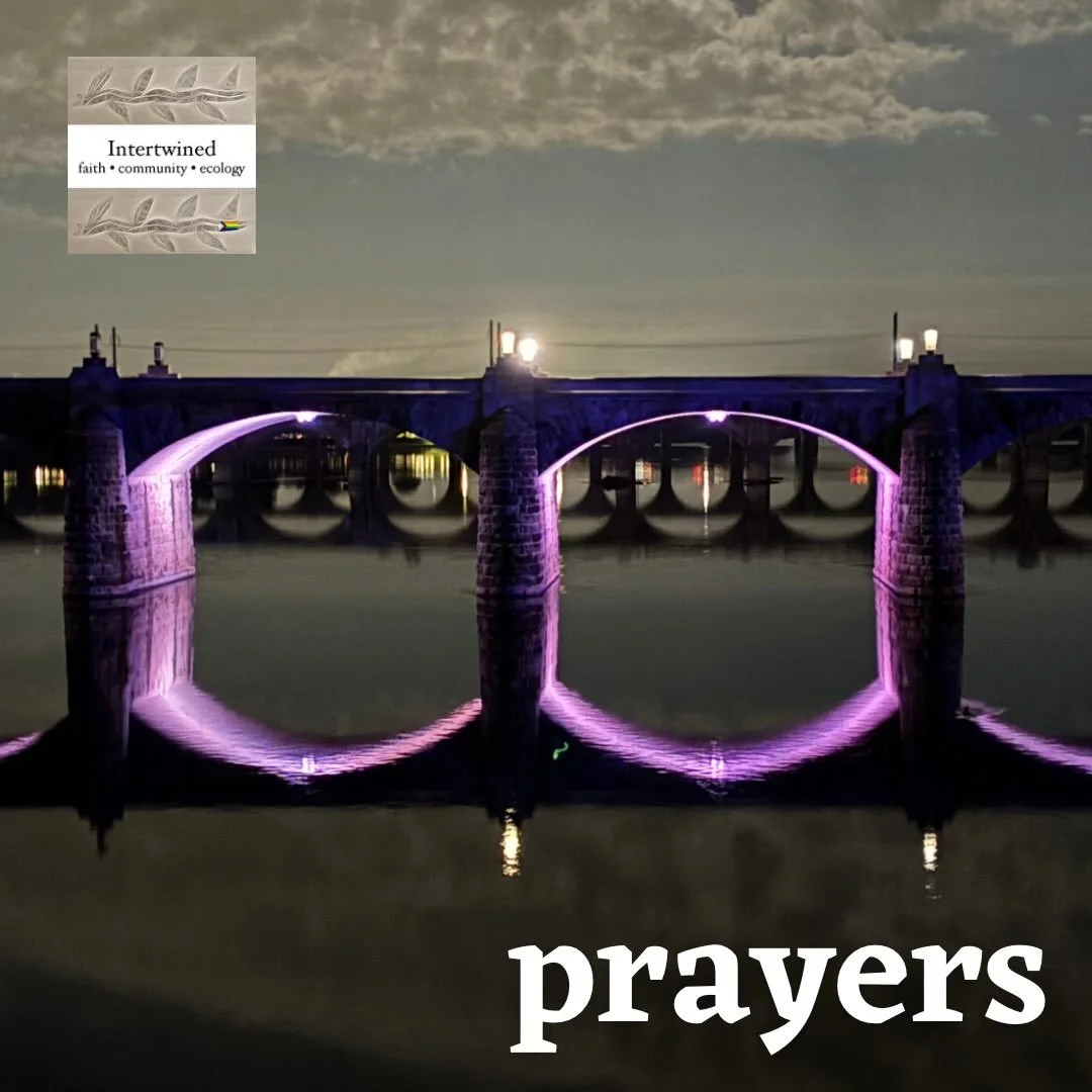 This week, we lift the following in prayer.

Our country as we remember September 11 and its aftermath
F, a woman in Ukraine
Family and friends of Jena
Valerie - housing situation
Ashley - mental health
Rich - Diabetes diagnosis
Monica&rsquo;s cat
Te