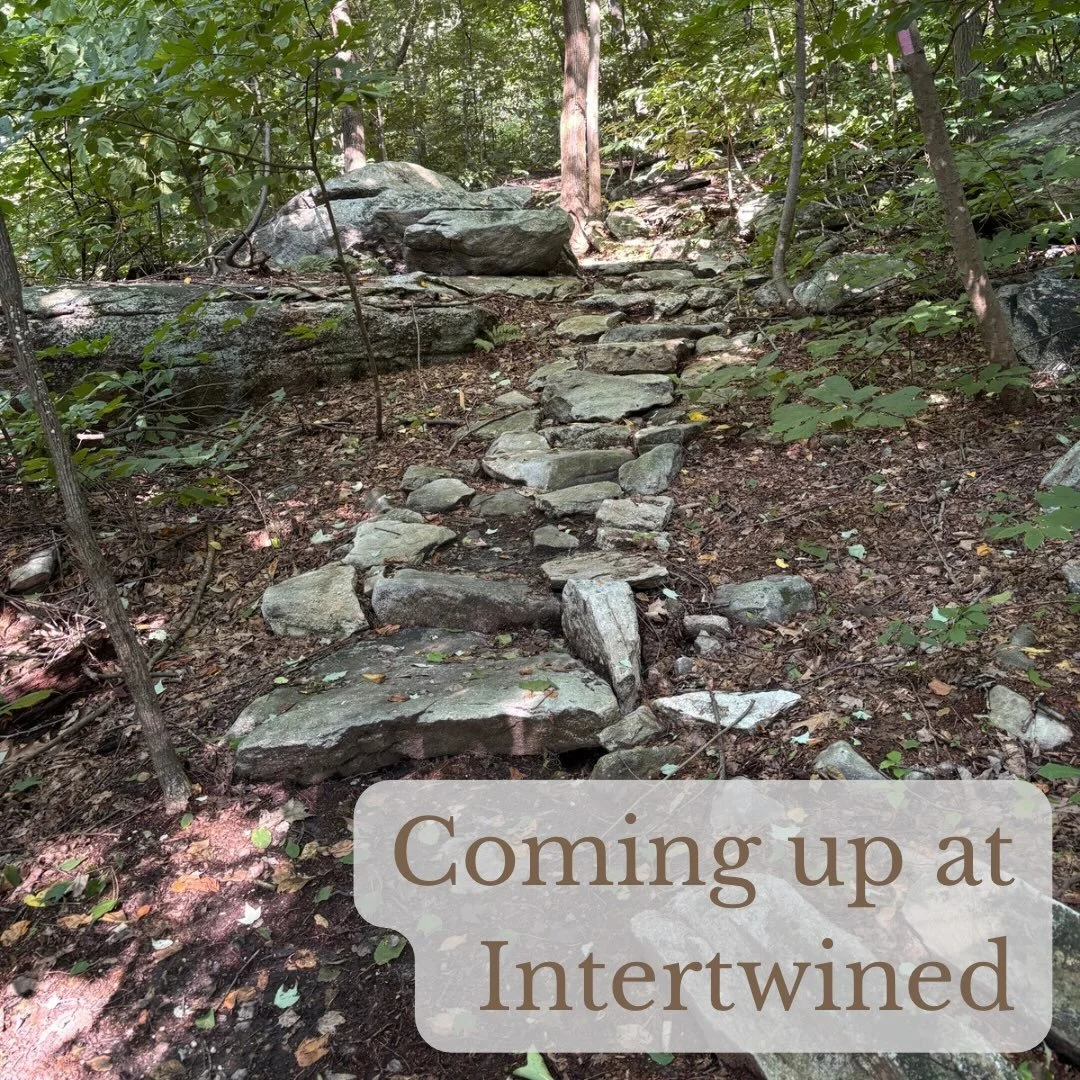 Here&rsquo;s what&rsquo;s coming up at Intertwined:

Sunday
10:15am - Kevin preaches at St. James Presbyterian Church (1425 Orrs Bridge Rd, Mechanicsburg)
5:00pm - Peace Out(doors) at City Island (grove of trees near carousel and train station)

Mond