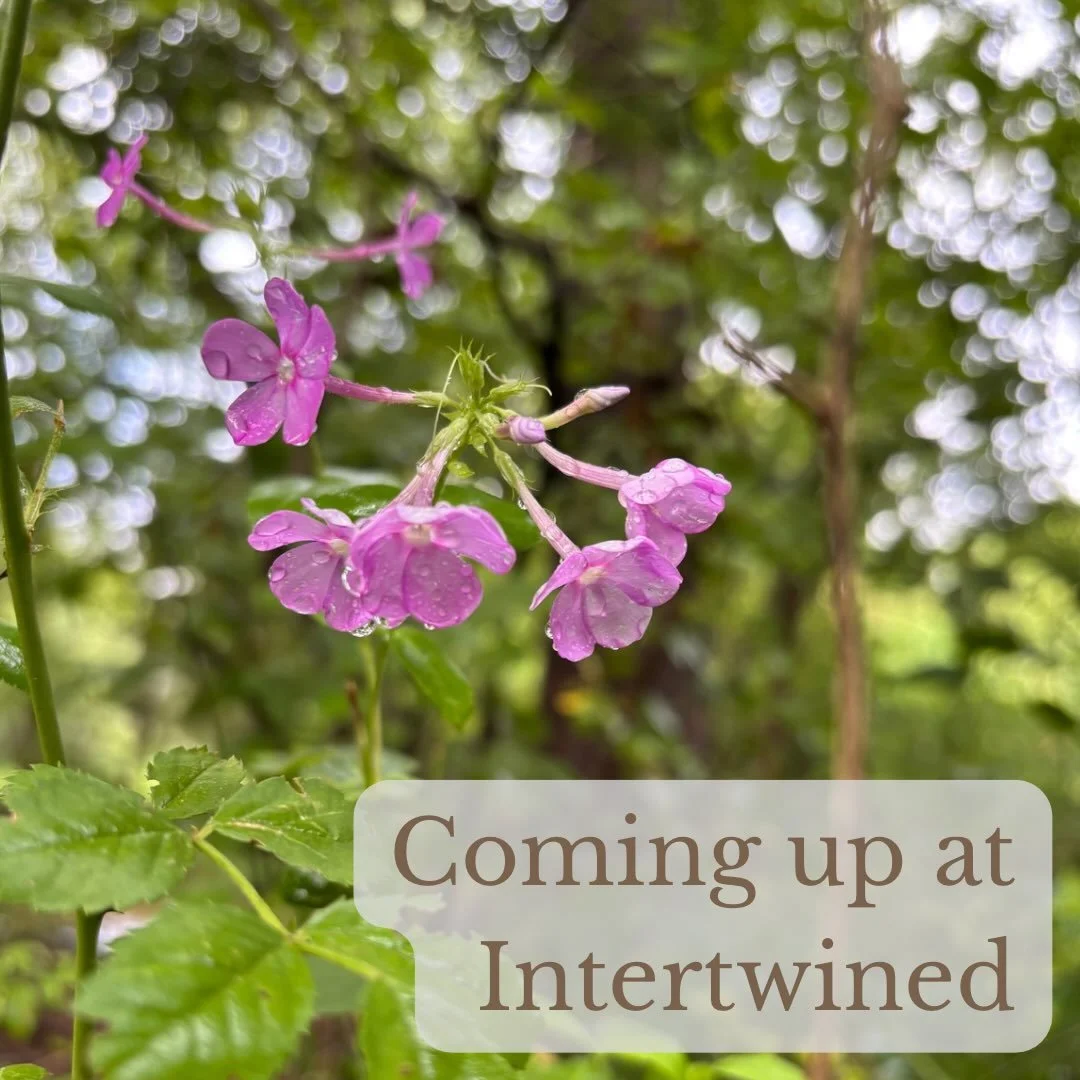 Here&rsquo;s what&rsquo;s coming up at Intertwined:

Sunday
5:00pm - Indoortwined at The Studio (Summerdale Plaza, 427 N. Enola Rd, Enola)

Monday
10:00am - Coffee at @elementarycoffeeco (256 North St, Harrisburg)

Tuesday
9:30am - Stewards of a Comm