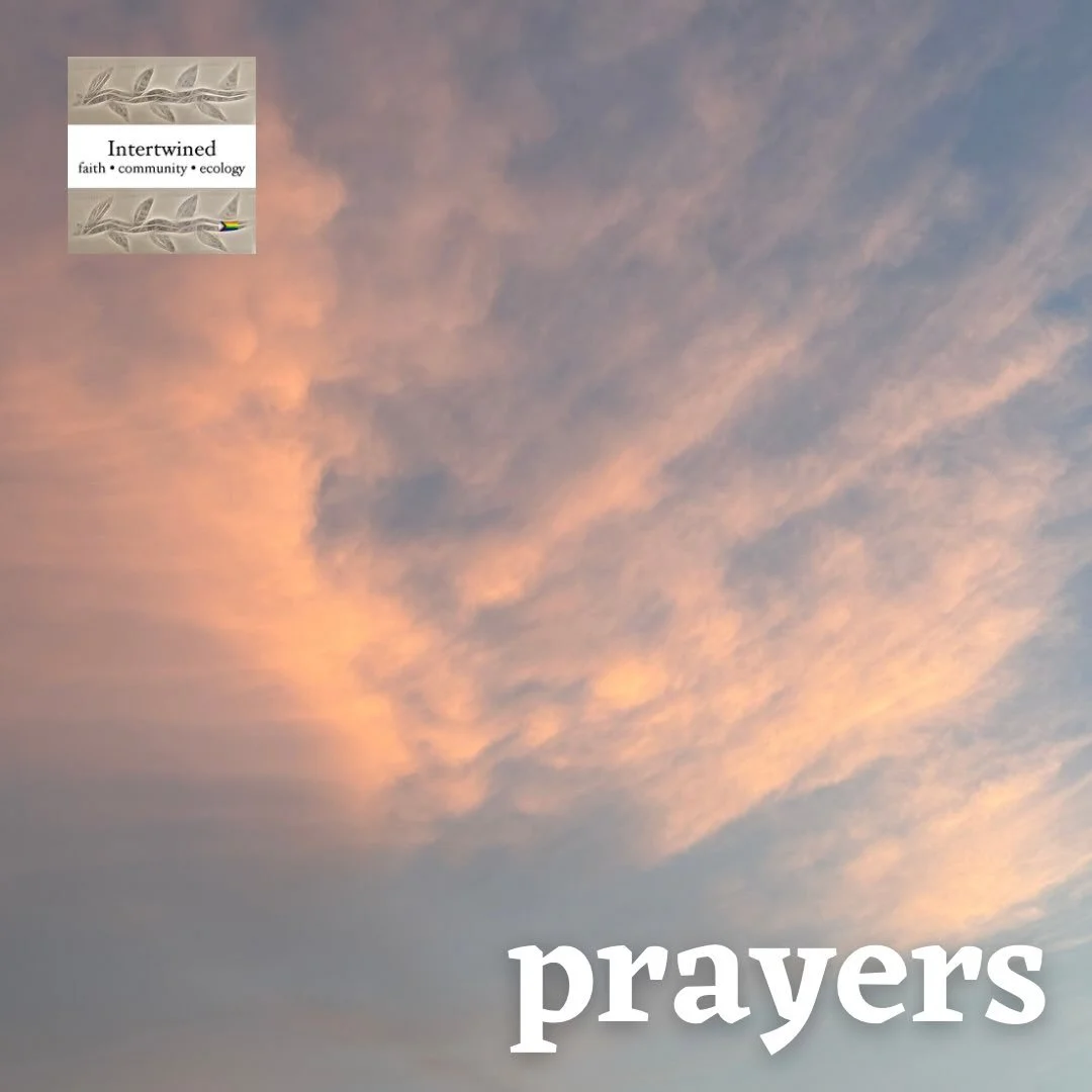 This week, we lift the following in prayer.

Max (3yo with cancer) - responding to treatment
Kelsi - knee surgery
Toots (Rich&rsquo;s aunt) - diabetes and related health challenges
Family and friends of Jena
Valerie - housing situation
Ashley - menta