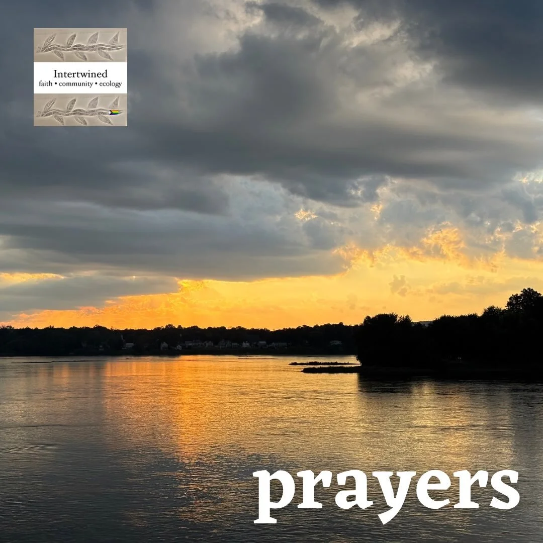 This week, we lift the following in prayer.

Rick (Ciara&rsquo;s friend) - entered rehab
Valerie&rsquo;s clients
Maureen - continued recovery
Sesar (Josh&rsquo;s co-worker) - in ICE custody
Valerie - blood pressure and treatment stability
Patty R and