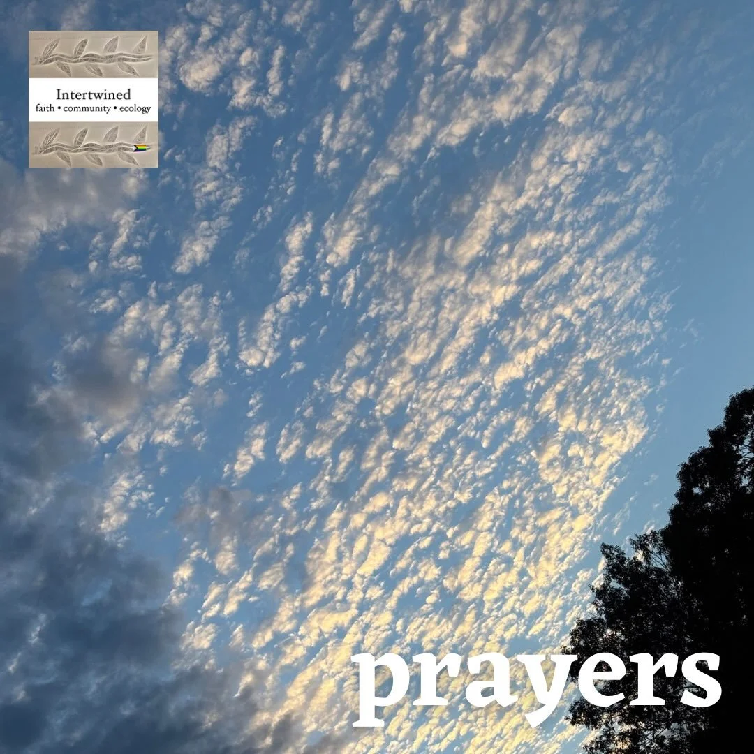 This week, we lift the following in prayer.

Rick (Ciara&rsquo;s friend) - entered rehab
Valerie&rsquo;s clients
Maureen - continued recovery
Sesar (Josh&rsquo;s co-worker) - in ICE custody
Valerie - blood pressure and treatment stability
Patty R and