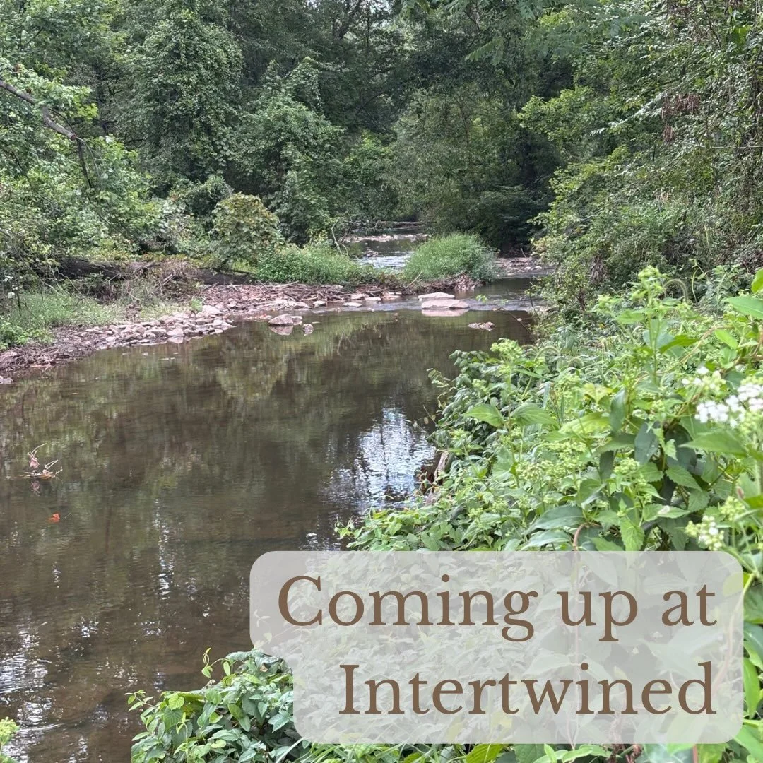 Here&rsquo;s what&rsquo;s coming up at Intertwined:

Sunday
5:00pm - Peace Out(doors) at City Island (grove of trees near carousel and train station)

Monday
10:00am - Coffee at @elementarycoffeeco (256 North St, Harrisburg)

Tuesday
12:30pm - Rally 
