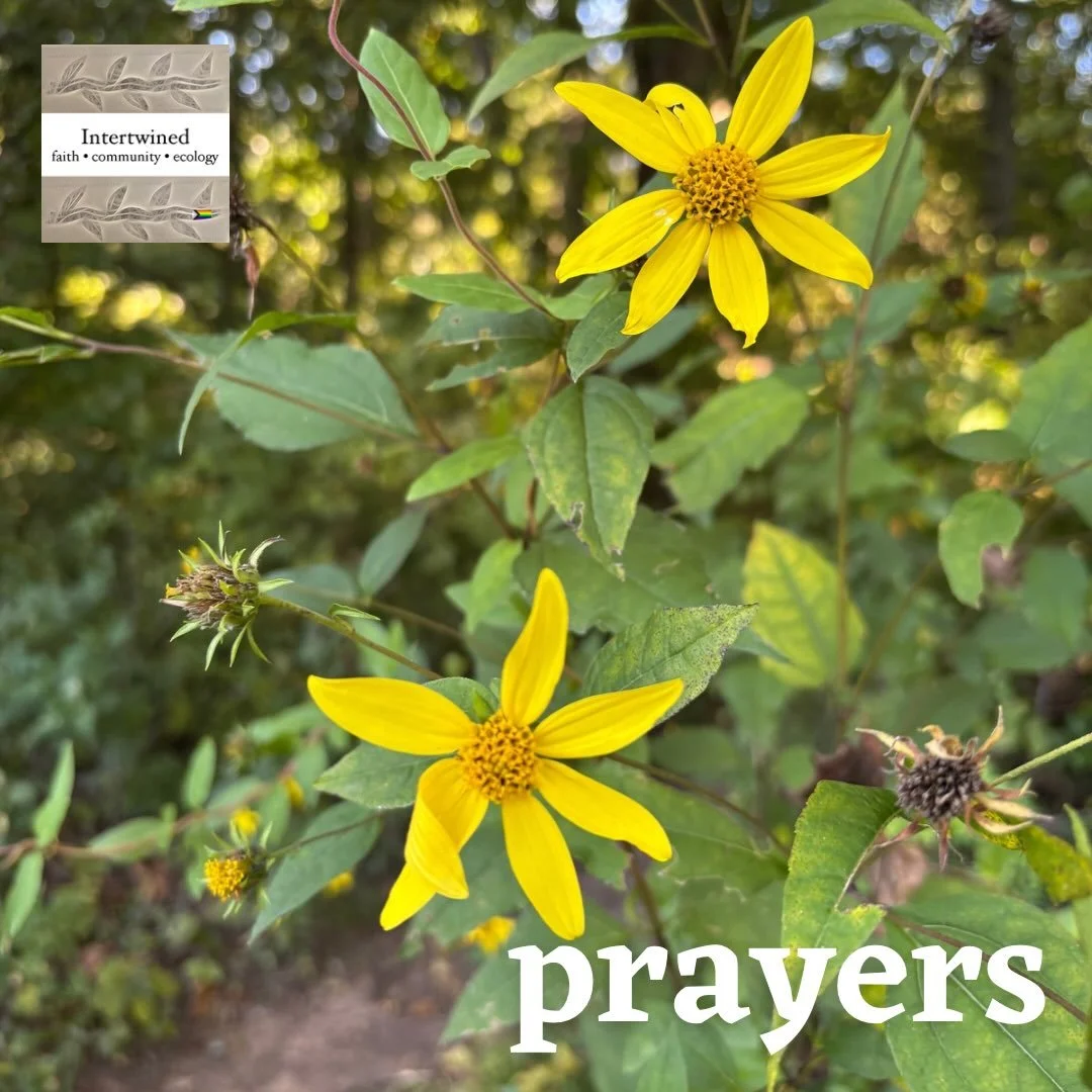 This week, we lift the following in prayer.

Lorraine (Monica&rsquo;s friend) - hospitalized
Natalie
Rembrandt (friend of Avery&rsquo;s family) - urgent care
Valerie - blood pressure and treatment stability
Patty R and Bill H (friends of Ray) - cance