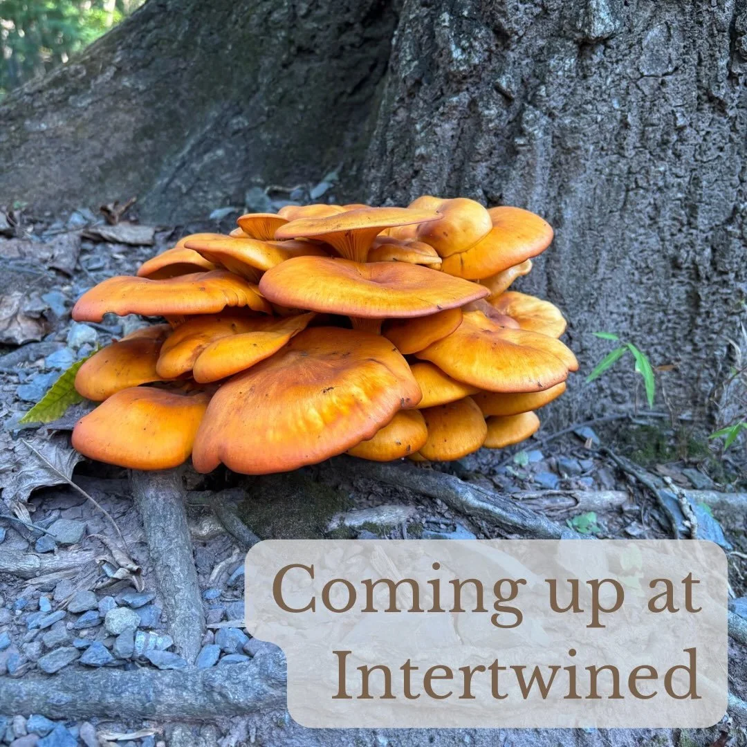 Here&rsquo;s what&rsquo;s coming up at Intertwined:

Sunday
5:00pm - Peace Out(doors) at City Island (grove of trees near carousel and train station)

Monday
10:00am - Coffee at @elementarycoffeeco (256 North St, Harrisburg)

Wednesday
10:00am - Coff