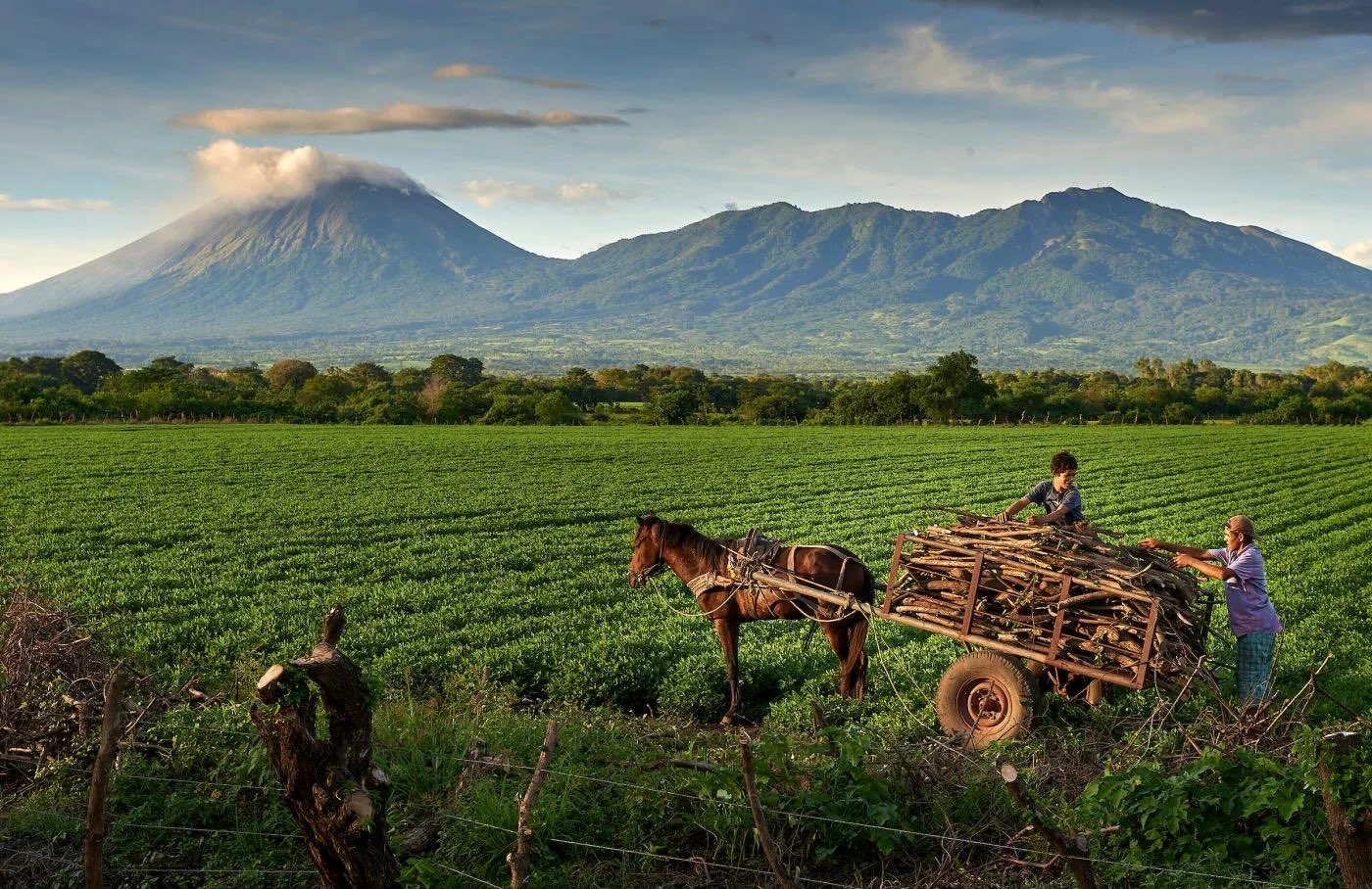 This week we join @worldcouncilofchurches in praying for Costa Rica, El Salvador, Nicaragua, and Panama.

Hear, O God, the cries of your oppressed people.
It is a fight between good and evil,
between justice and injustice.

Lord, make your light shin