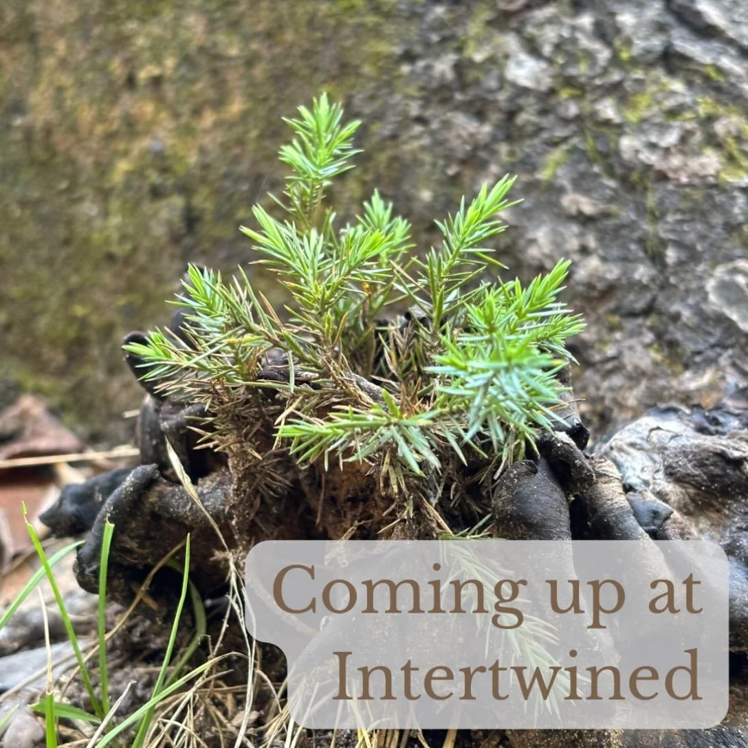Here&rsquo;s what&rsquo;s coming up at Intertwined:

Sunday
(No gathering October 18)

Monday
10:00am - Coffee at @elementarycoffeeco (256 North St, Harrisburg)

Wednesday
10:00am - Coffee at @littleampscoffee (1836 Green St, Harrisburg)
5:30pm - Soj