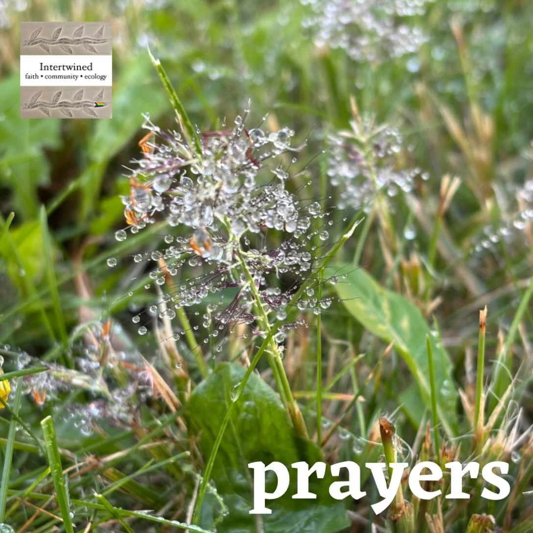 This week, we lift the following in prayer.

Audrey (Maureen&rsquo;s aunt)
Ari
Jeff (Dae&rsquo;s friend)
Sandy &amp; Allen - moving
Lorraine (Monica&rsquo;s friend) - hospitalized
Natalie
Rembrandt (friend of Avery&rsquo;s family)
Valerie - blood pre