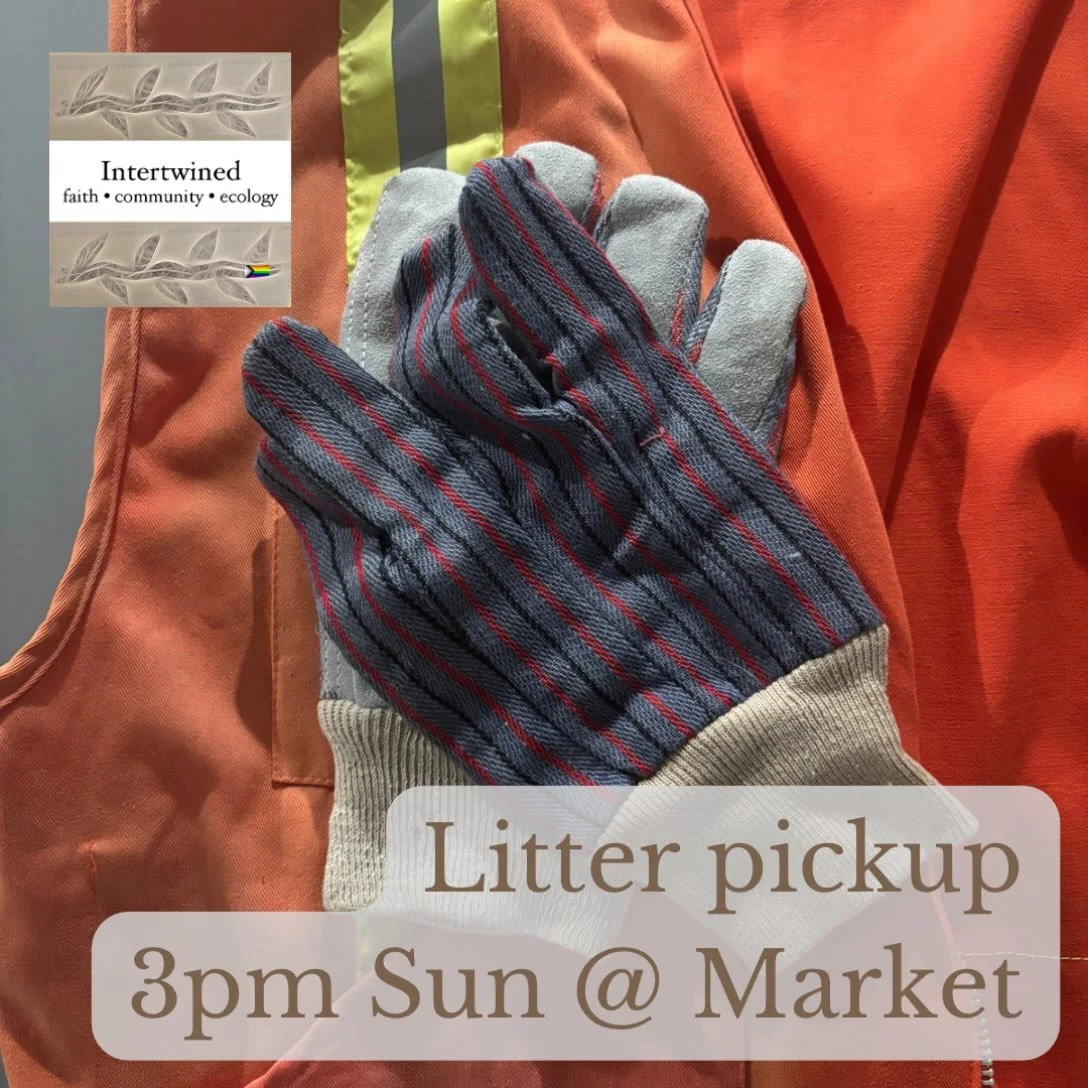 Join us Sunday at 3pm for a midtown litter pickup beginning at the Broad Street Market courtyard. Bags will be provided. We&rsquo;ll also have gloves and vests, but feel free to bring your own. 

#Harrisburg #cherishburg #717 #the717 #iheartHBG