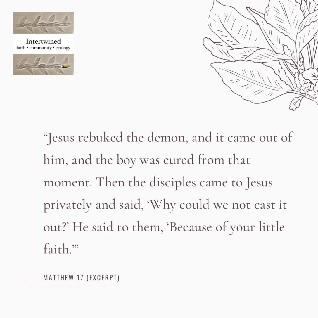 Matthew 17:14-21

When they came to the crowd, a man came to him, knelt before him, and said, &ldquo;Lord, have mercy on my son, for he has epilepsy and suffers terribly; he often falls into the fire and often into the water. And I brought him to you