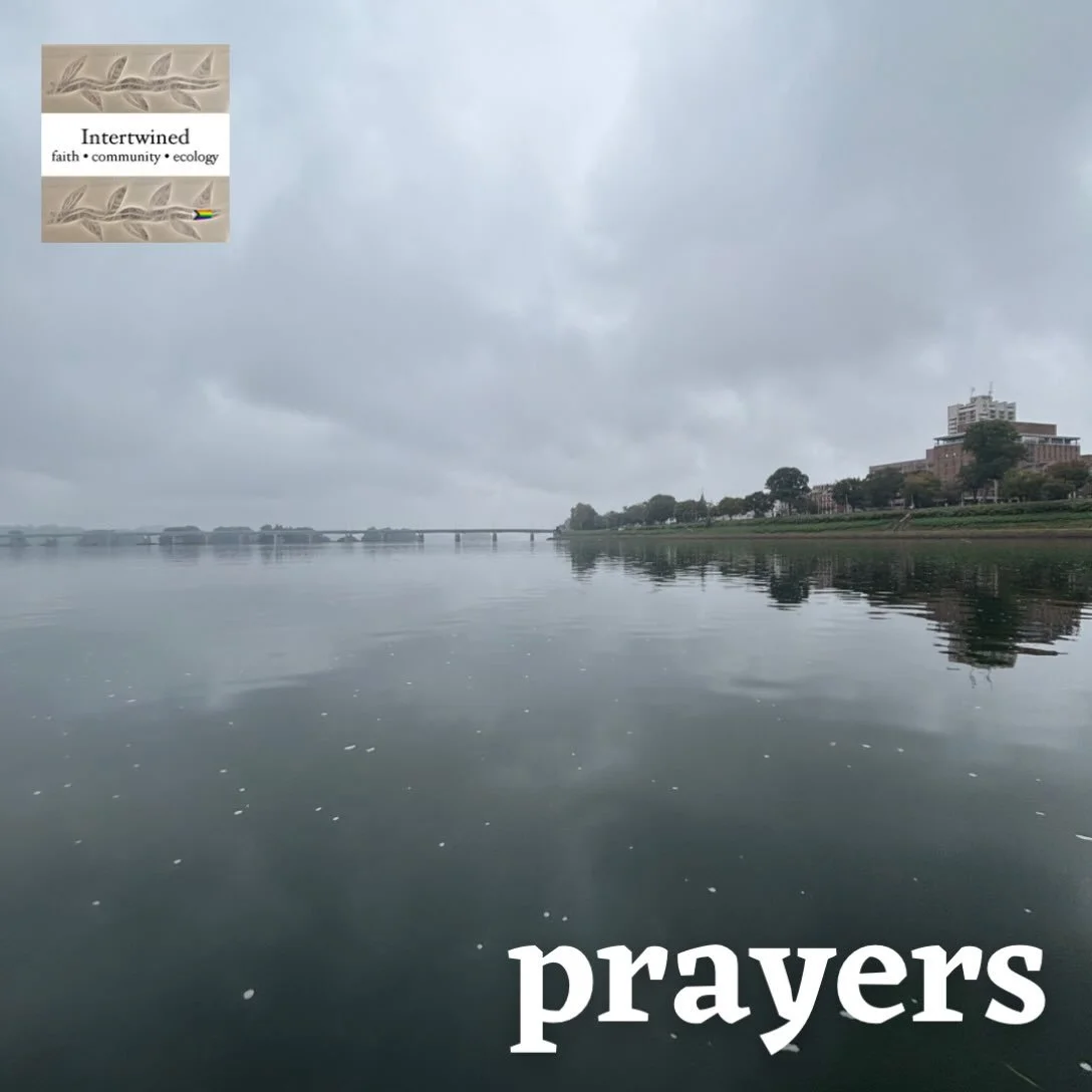 This week, we lift the following in prayer.

John&rsquo;s daughter - healthy pregnancy
Avery - boards on Nov 17
Julie
Donna (Val&rsquo;s sister) - health
Audrey (Maureen&rsquo;s aunt)
Ari
Jeff (Dae&rsquo;s friend)
Lorraine (Monica&rsquo;s friend) - h