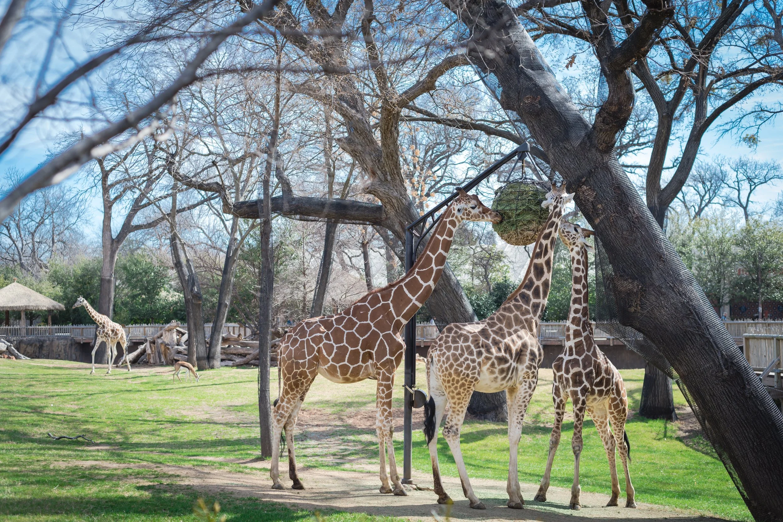 commercial_livingdesert_shutterstock_2131338715.jpg