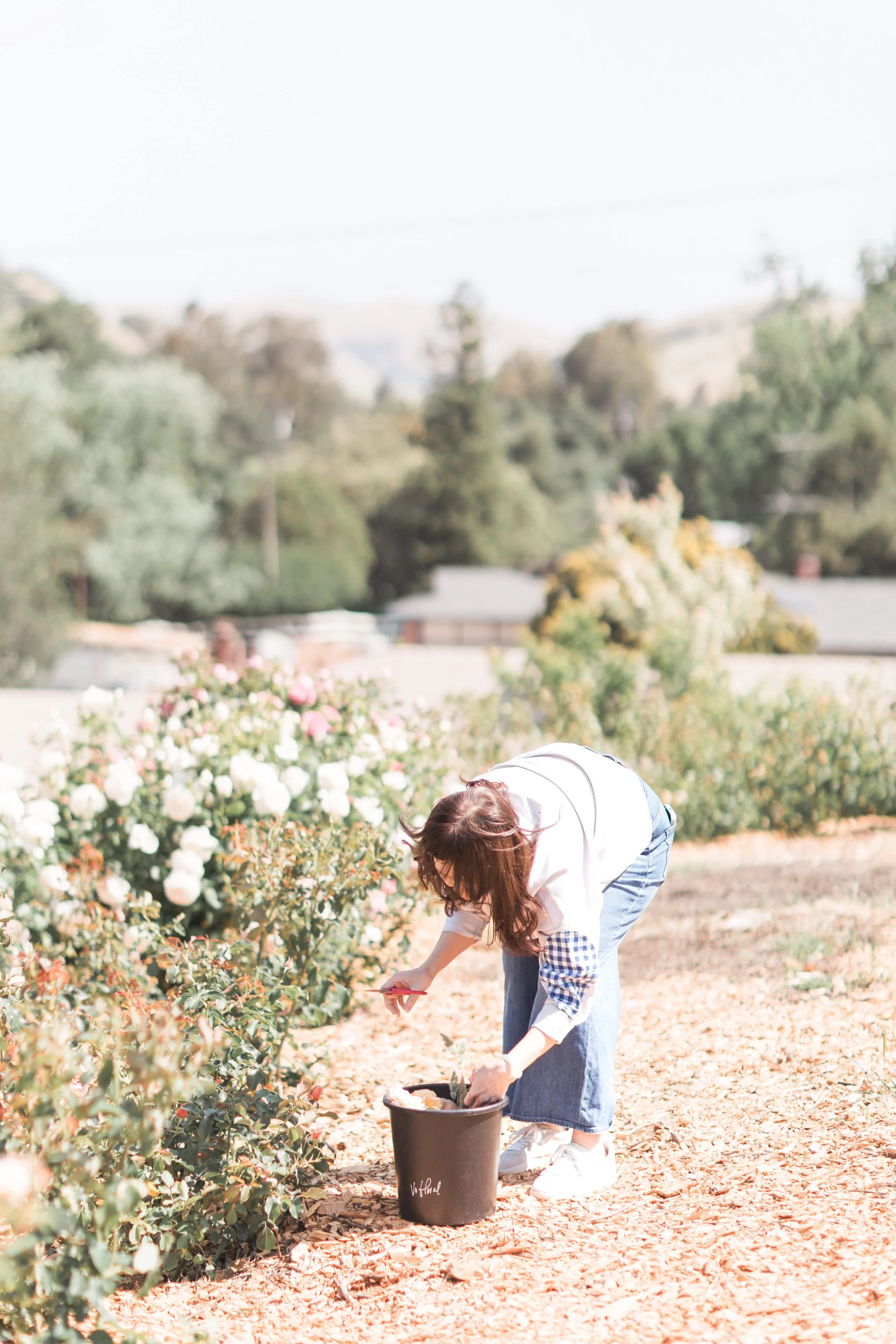 20250517_Vo'sFloralFarmworkshop-347.jpg