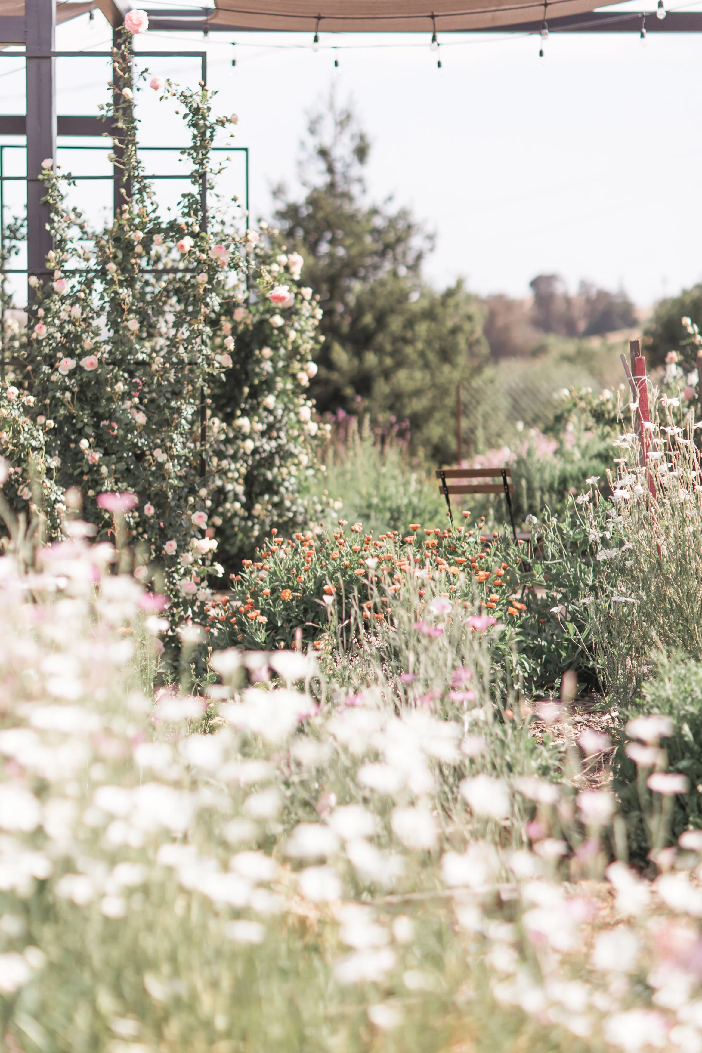 20250517_Vo'sFloralFarmworkshop-106.jpg