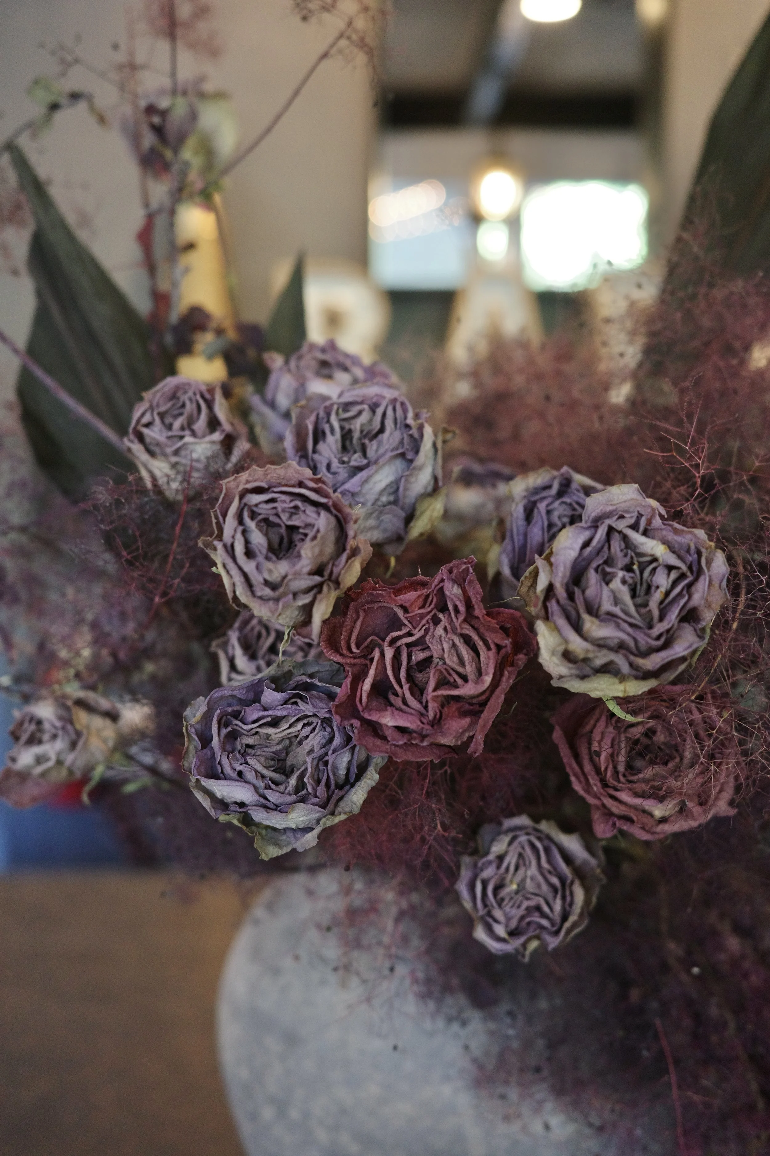 R0000169.jpg