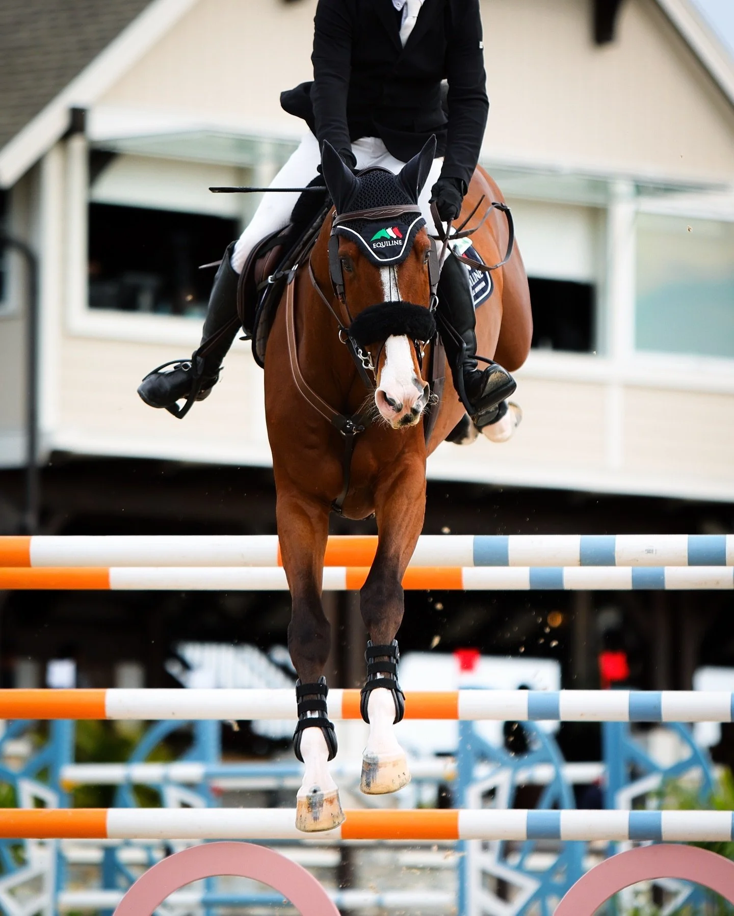 from the winter 2024 archives&hellip;💭✈️

taken on behalf of EQ Media for TerraNova Equestrian Center
#showjumping #worldequestriancenter #hunterjumper #wecocala