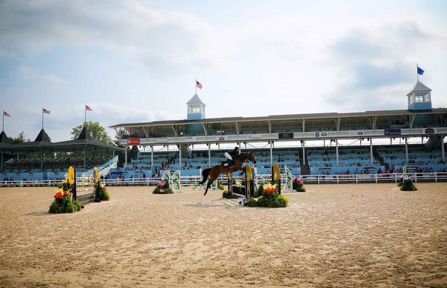 happy monday &mdash; kick some butt this week💥

photo for PMG at the Devon Horse Show